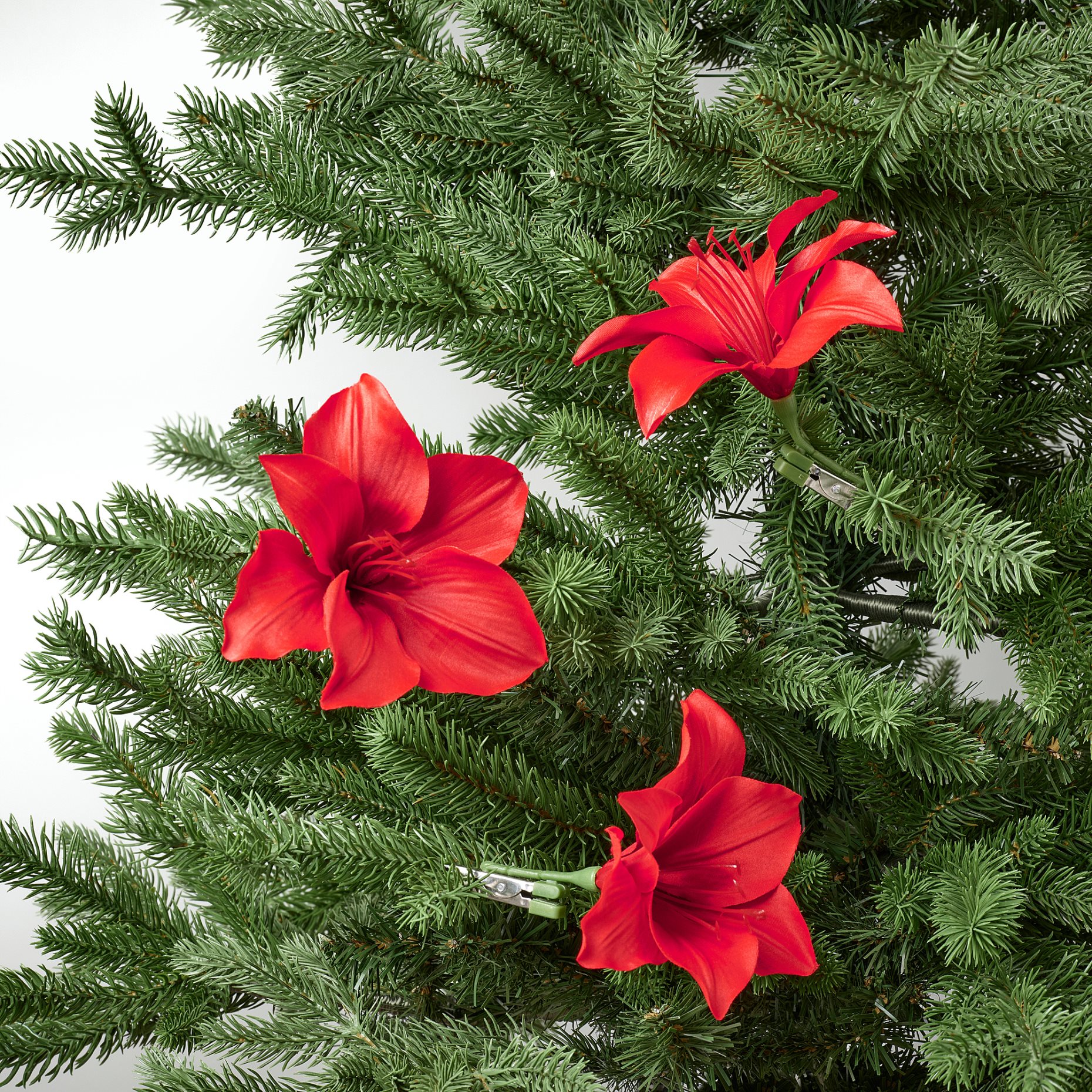 VINTERFINT, decoration/Amaryllis, 3 piece, 305.579.93