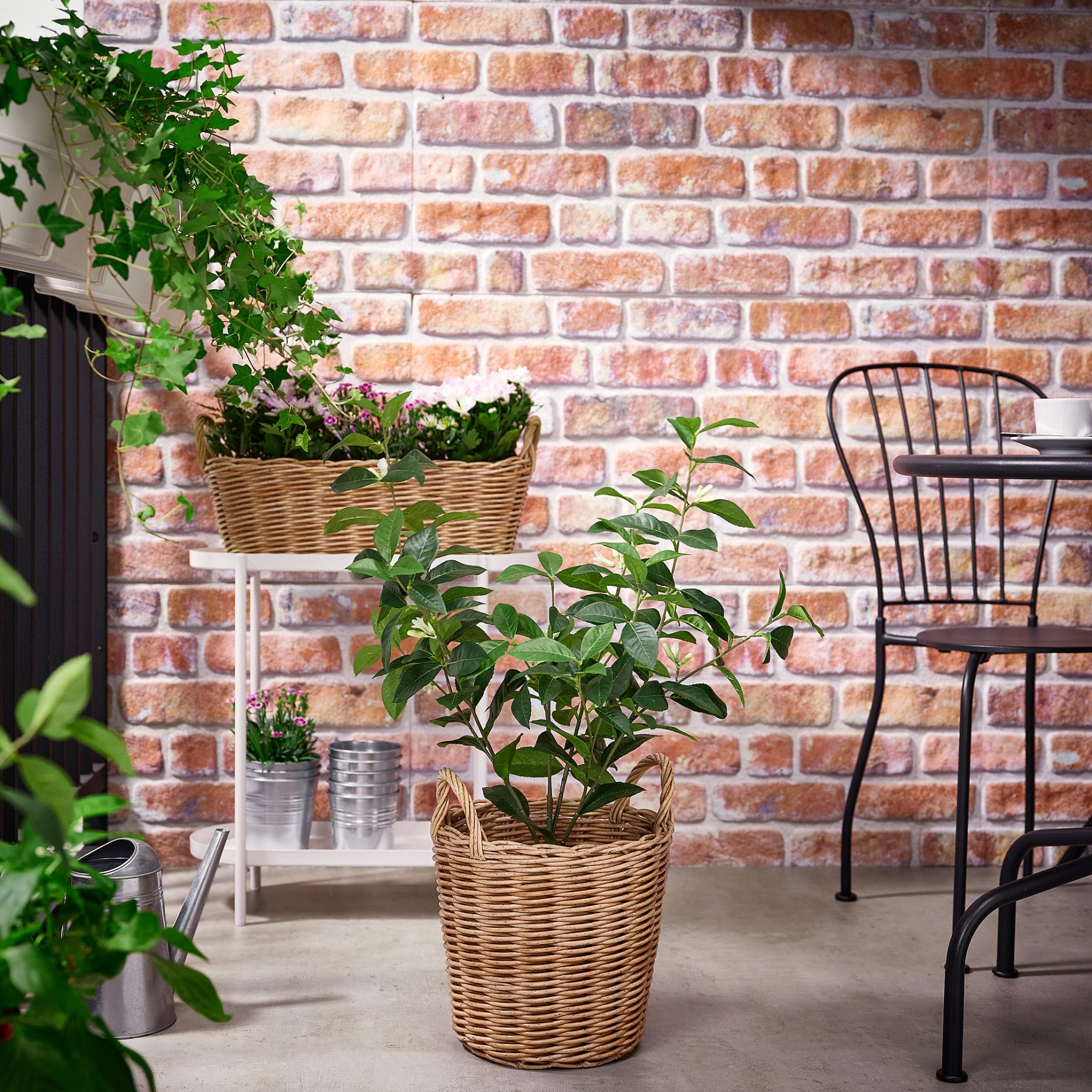 FLODBJÖRK, plant pot in/outdoor, 24 cm, 305.847.84