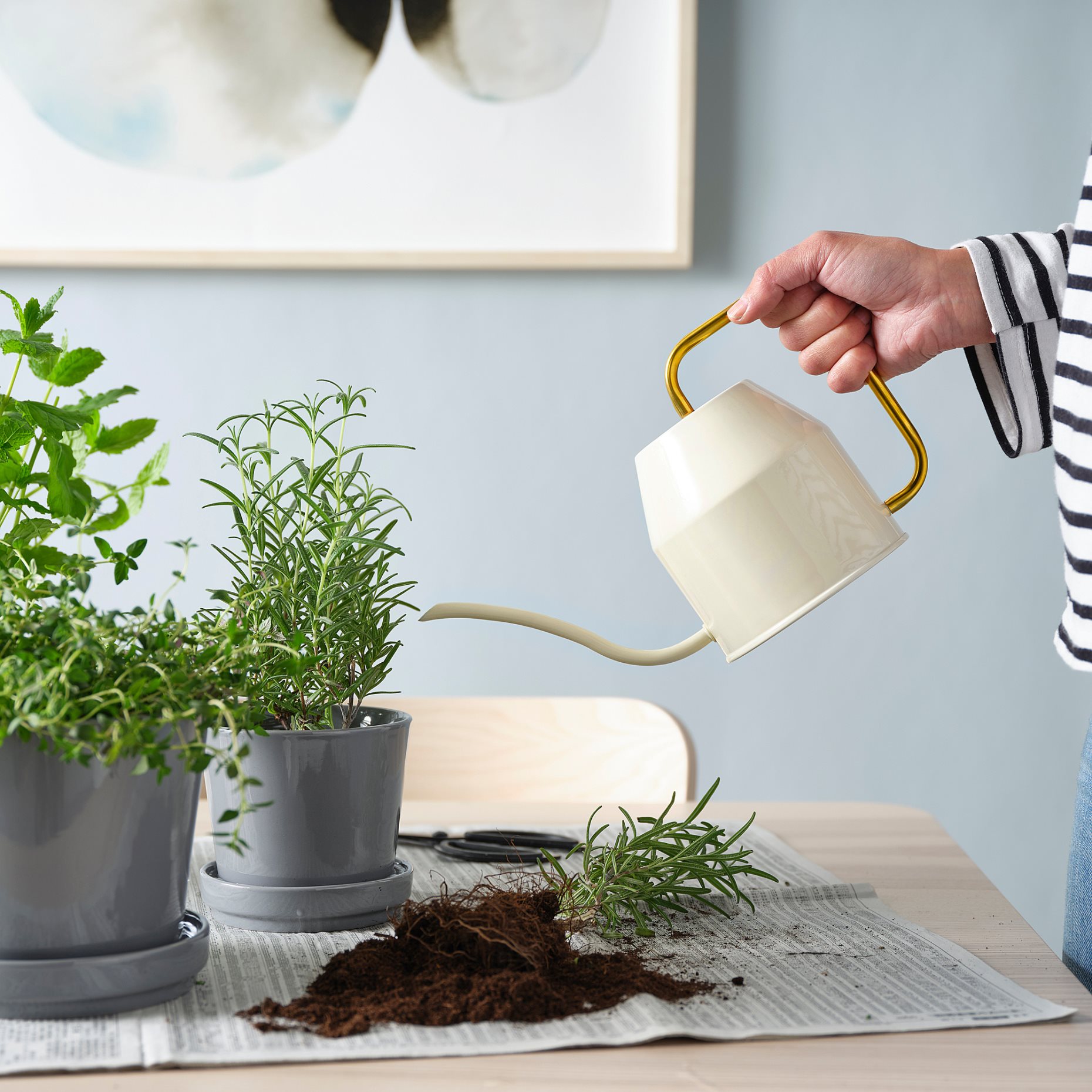 VATTENKRASSE, watering can, 403.941.18