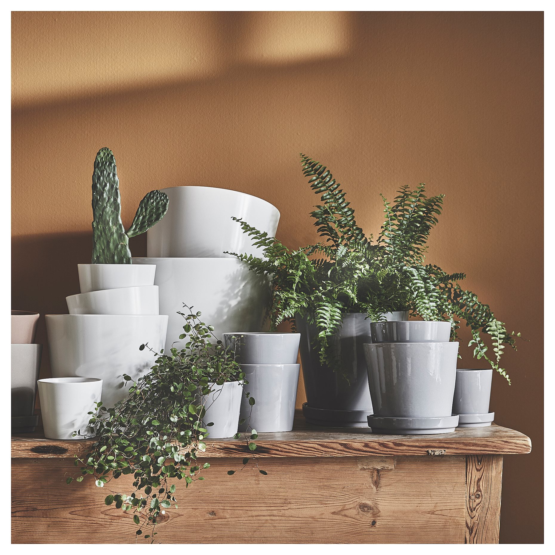 SOJABÖNA, plant pot, 24 cm, 405.335.86