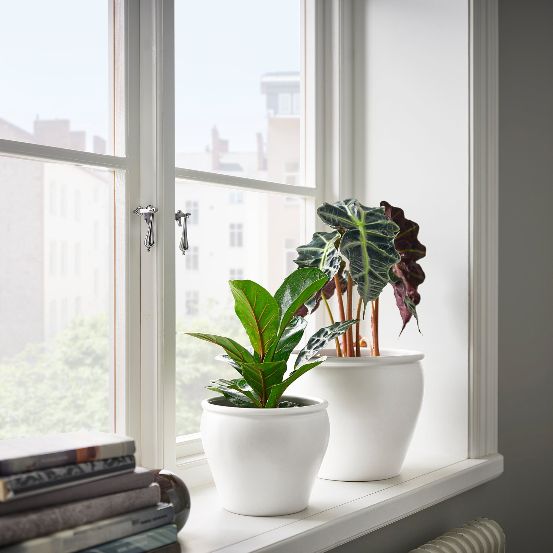 AMBRARÖNN, plant pot in/outdoor, 15 cm, 405.594.92