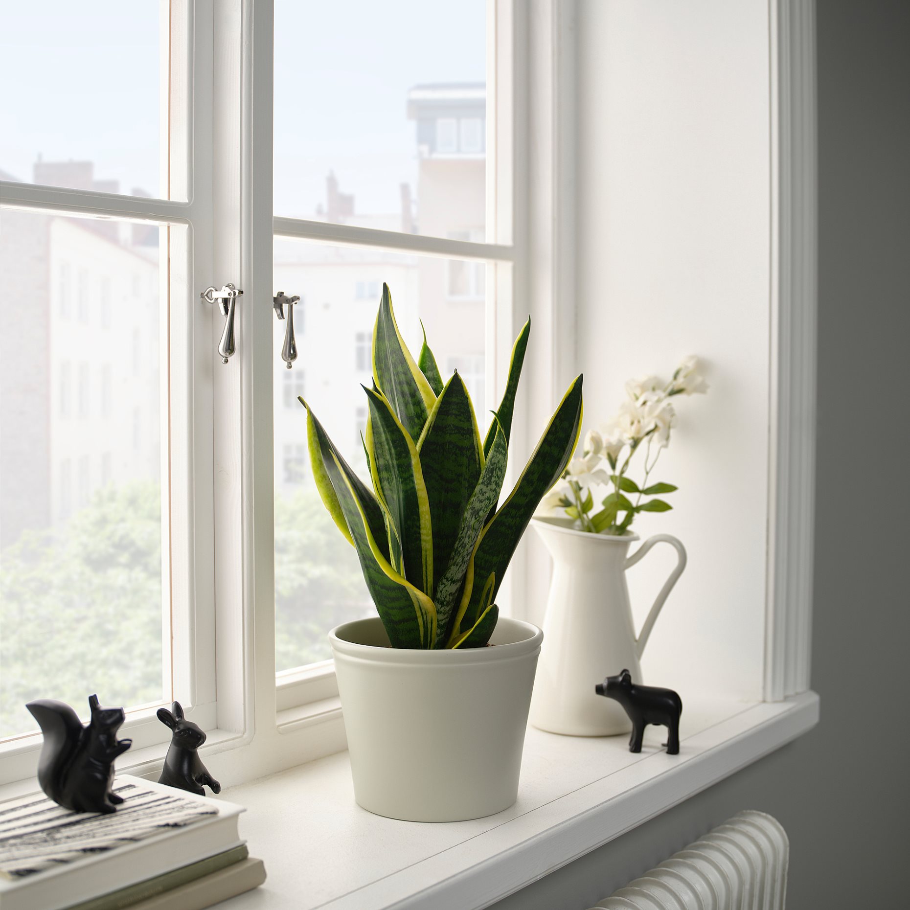 KÖRSBÄRSBJÖRK, plant pot, 15 cm, 405.917.36