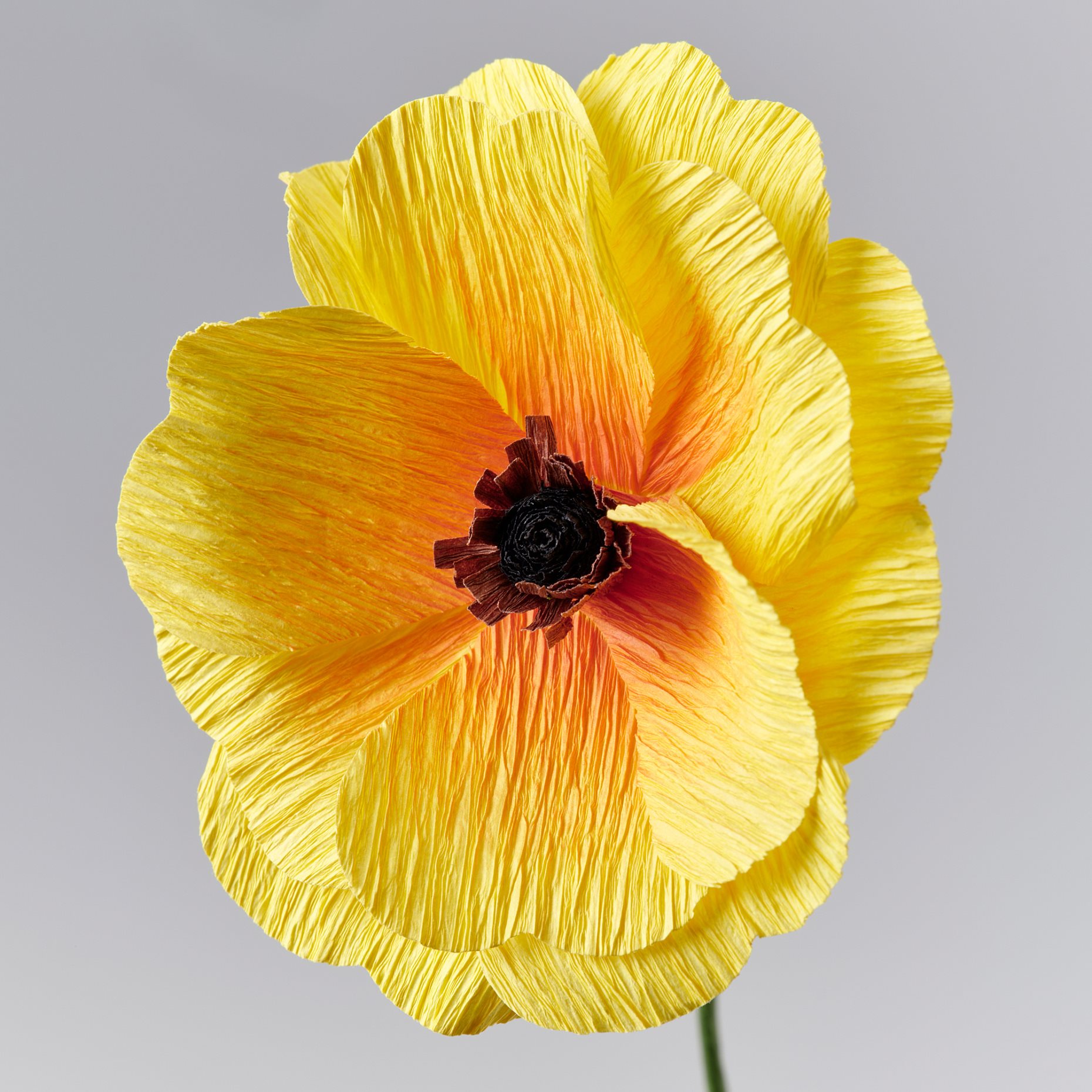GULDSPETT, artificial flower/Ranunculus, 35 cm, 406.149.69
