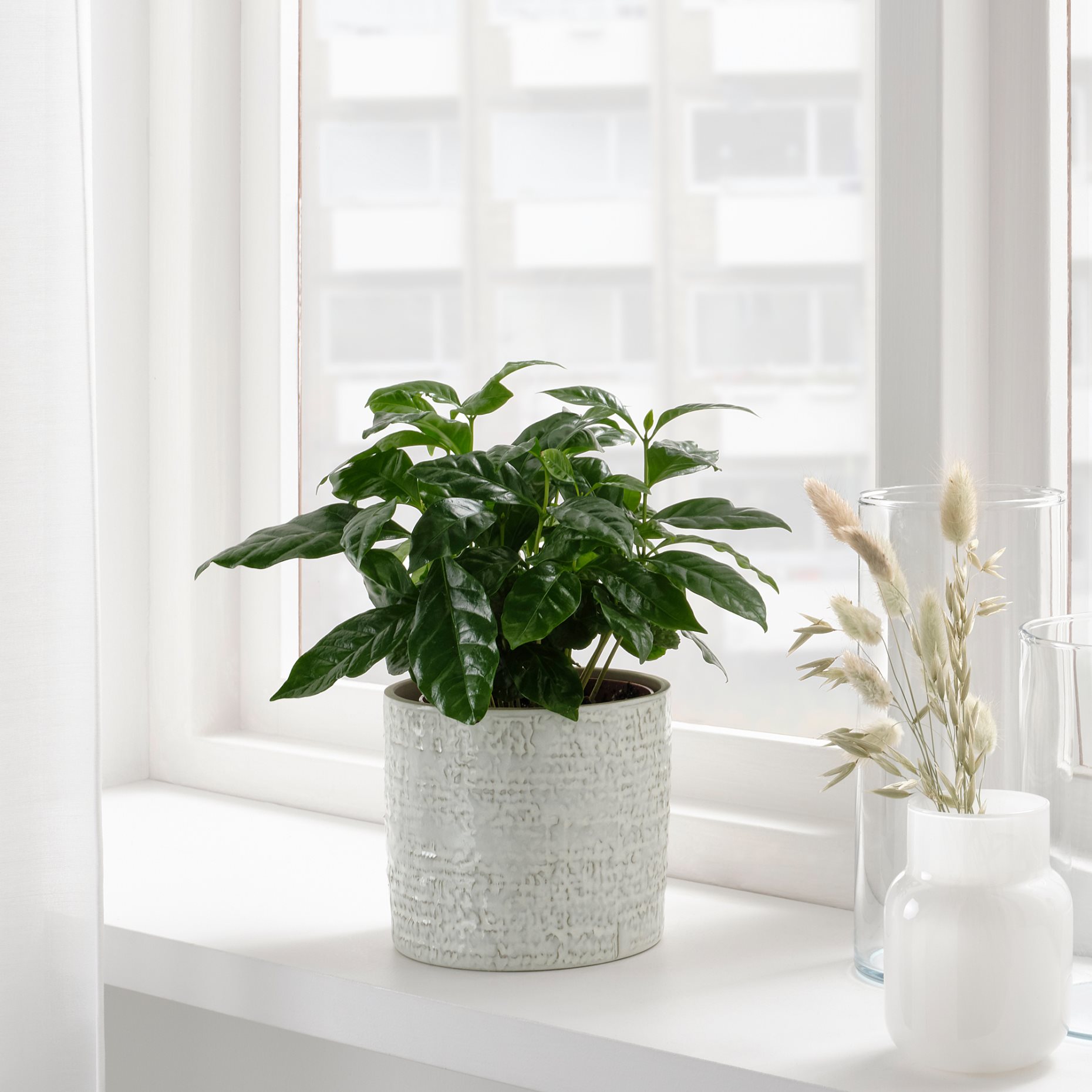 CHIAFRÖN, plant pot in/outdoor, 12 cm, 504.757.60