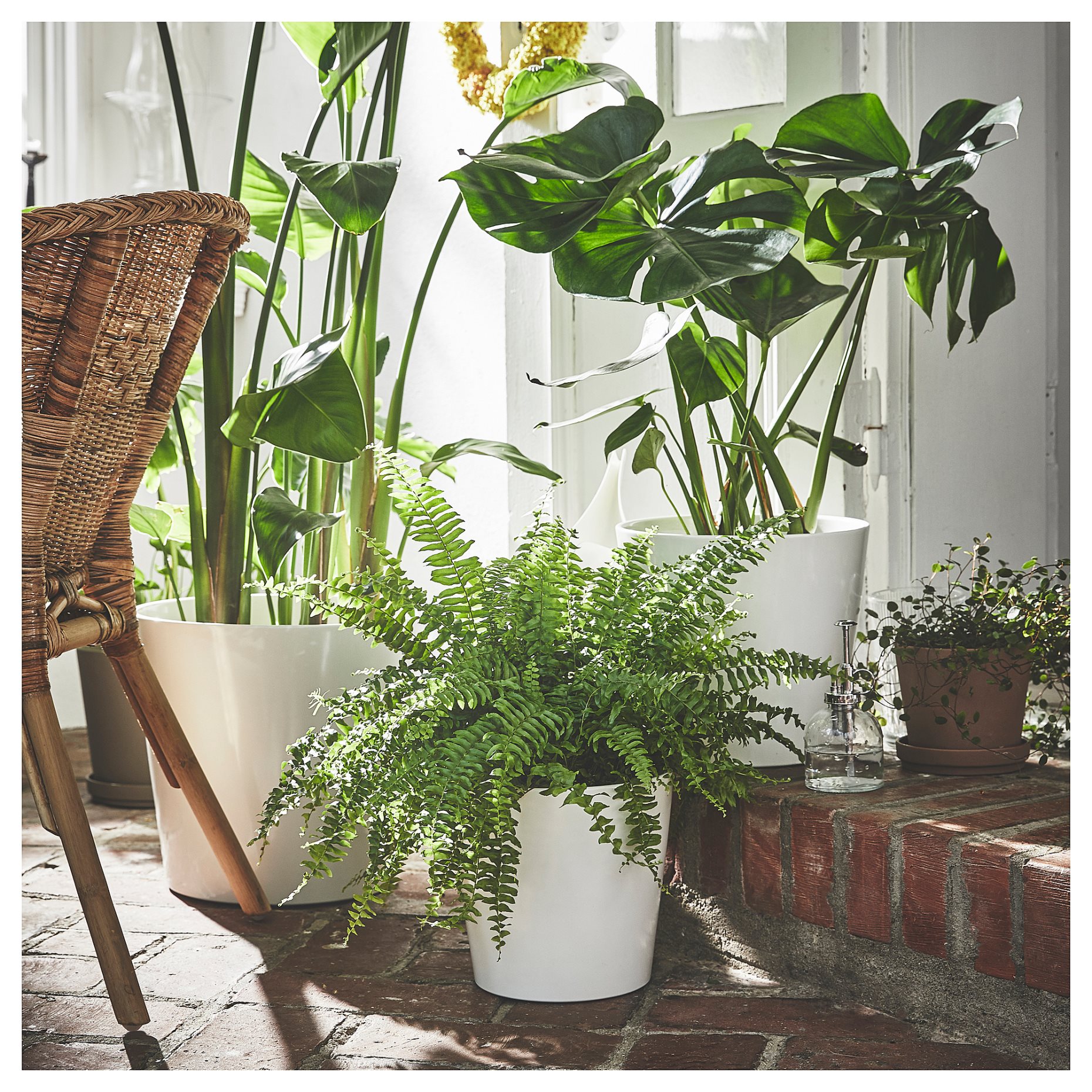 SOJABÖNA, plant pot, 19 cm, 505.335.76