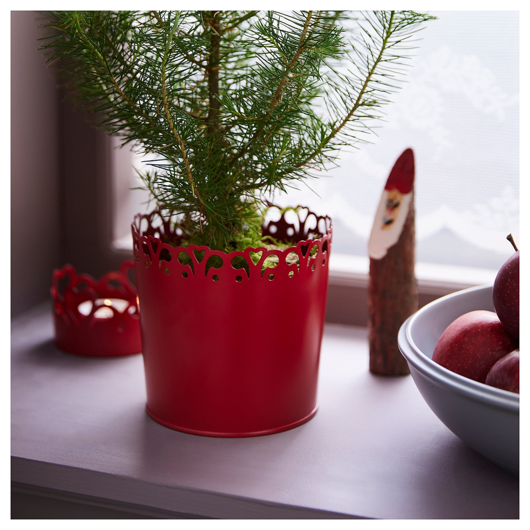 VINTERFINT, plant pot, 12 cm, 505.521.88