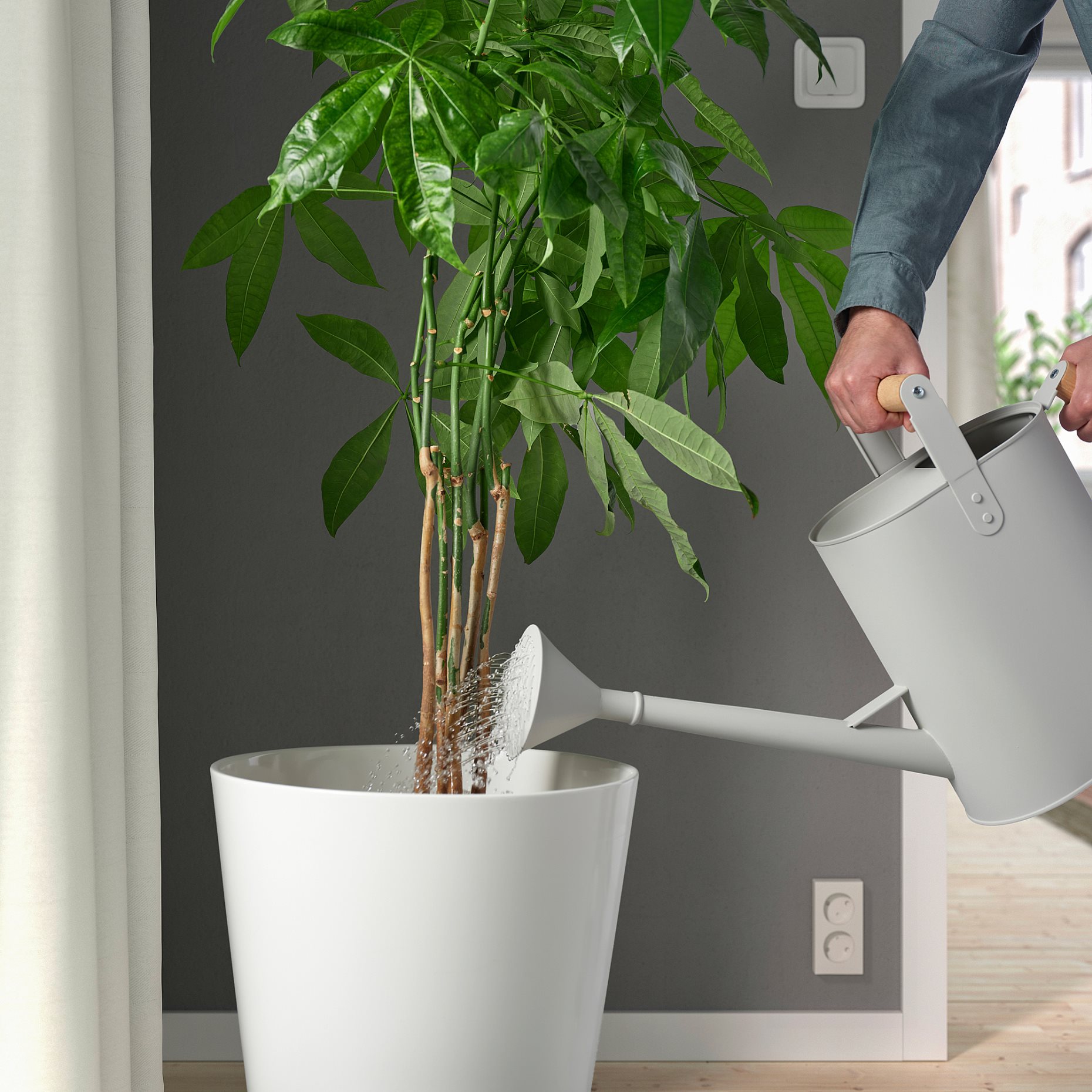 SALLADSKÅL, watering can, 9 l, 505.607.77