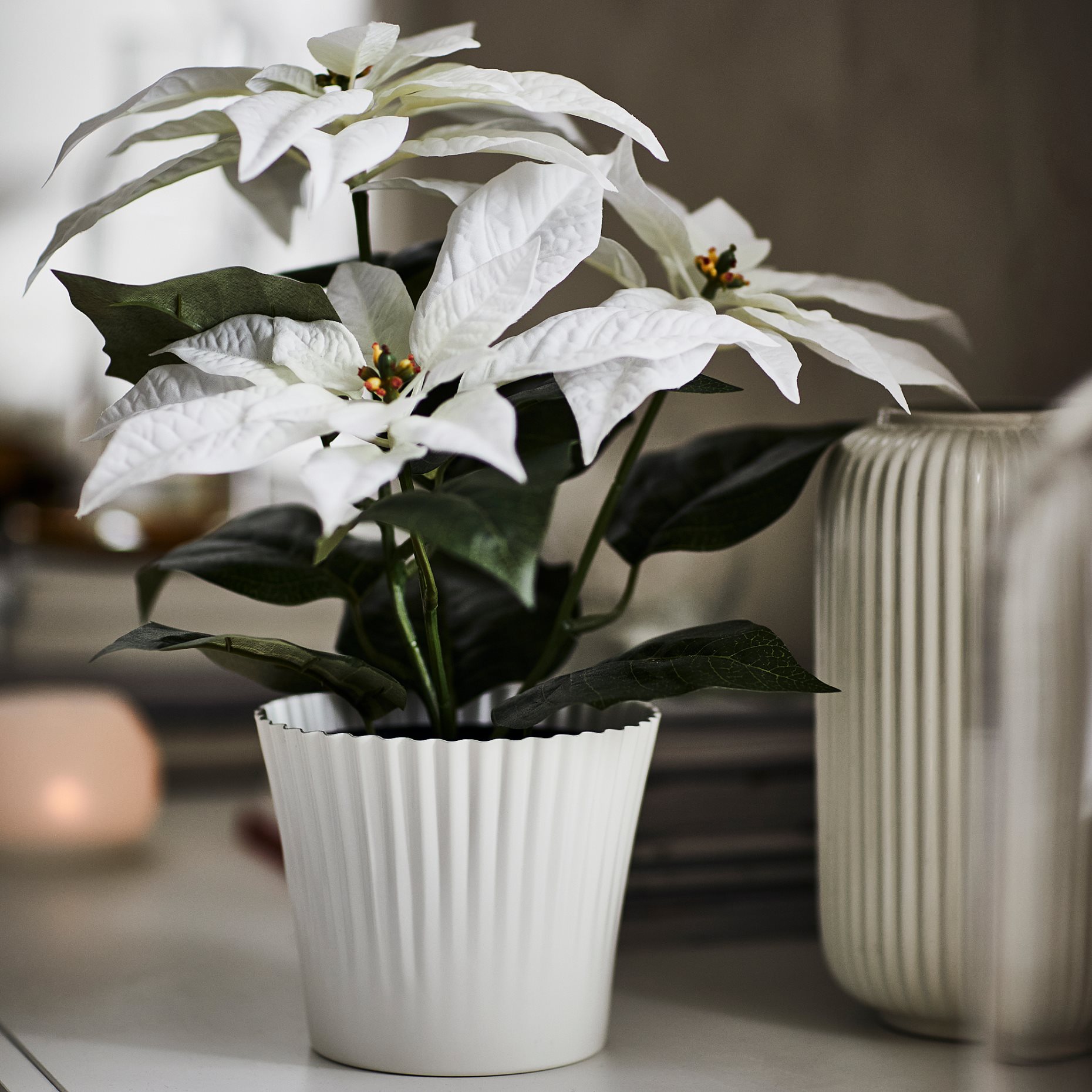 VINTERFINT, plant pot, 12 cm, 506.035.93