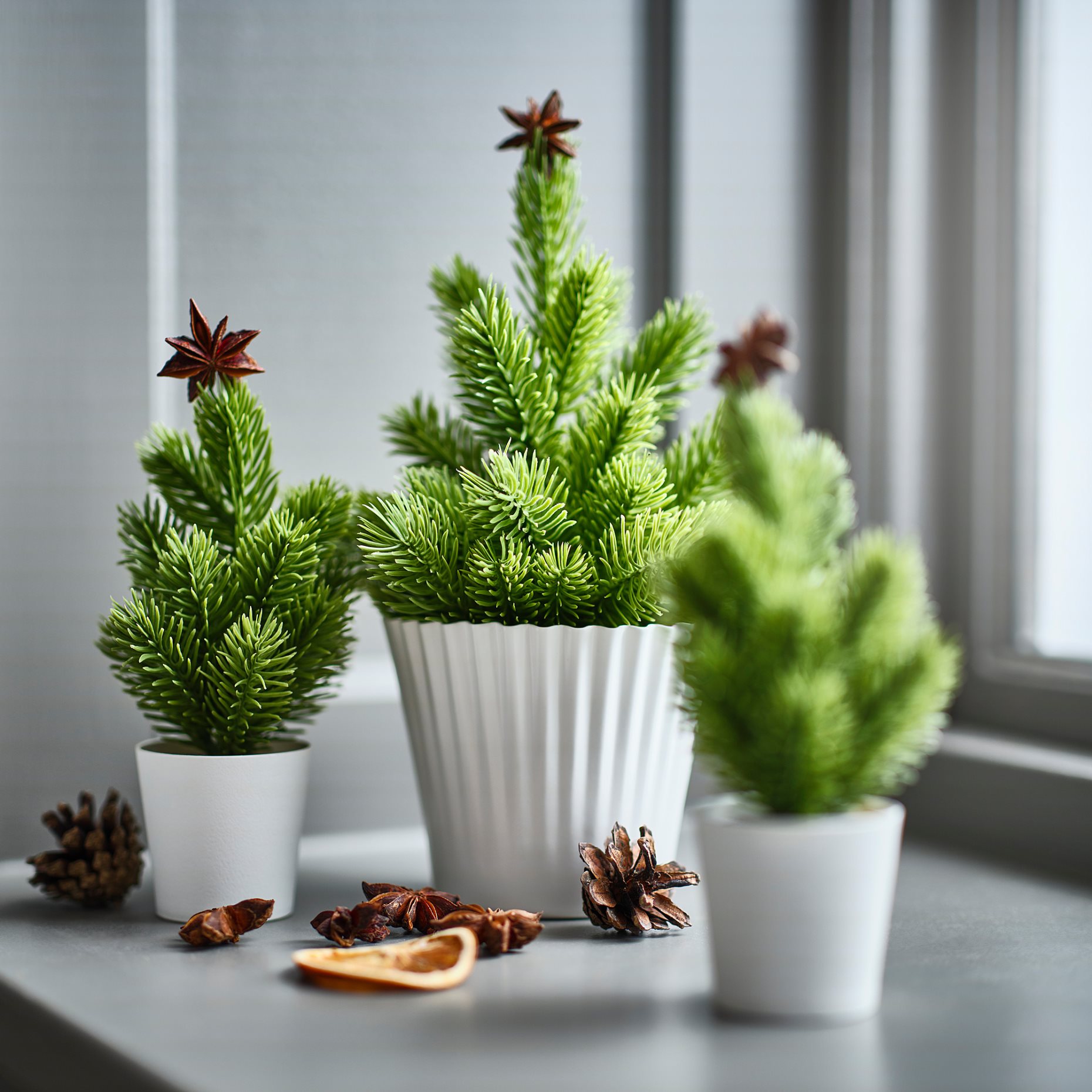 VINTERFINT, artificial potted Christmas tree in/outdoor, 6 cm, 506.065.44
