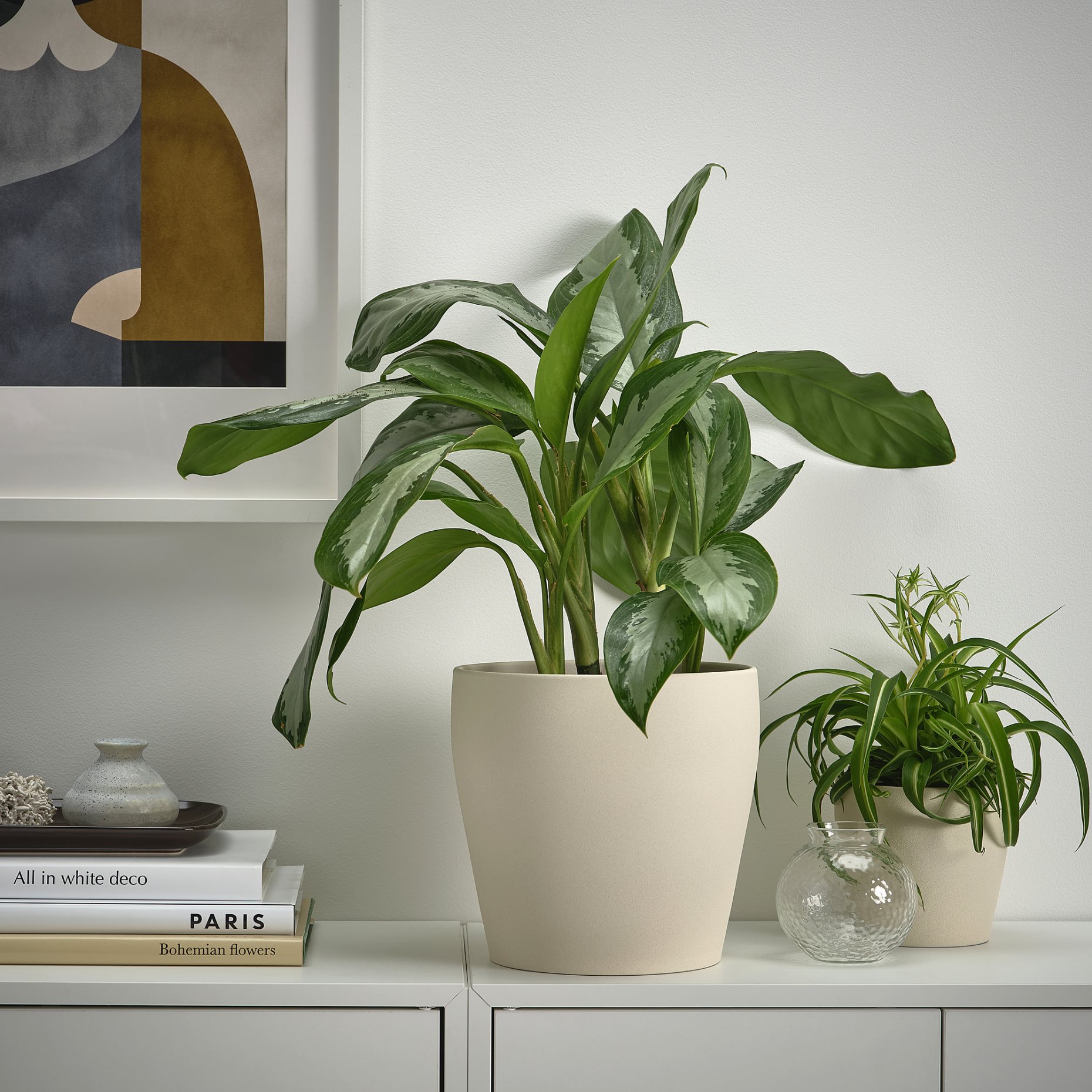 PERSILLADE, plant pot, 19 cm, 506.067.99