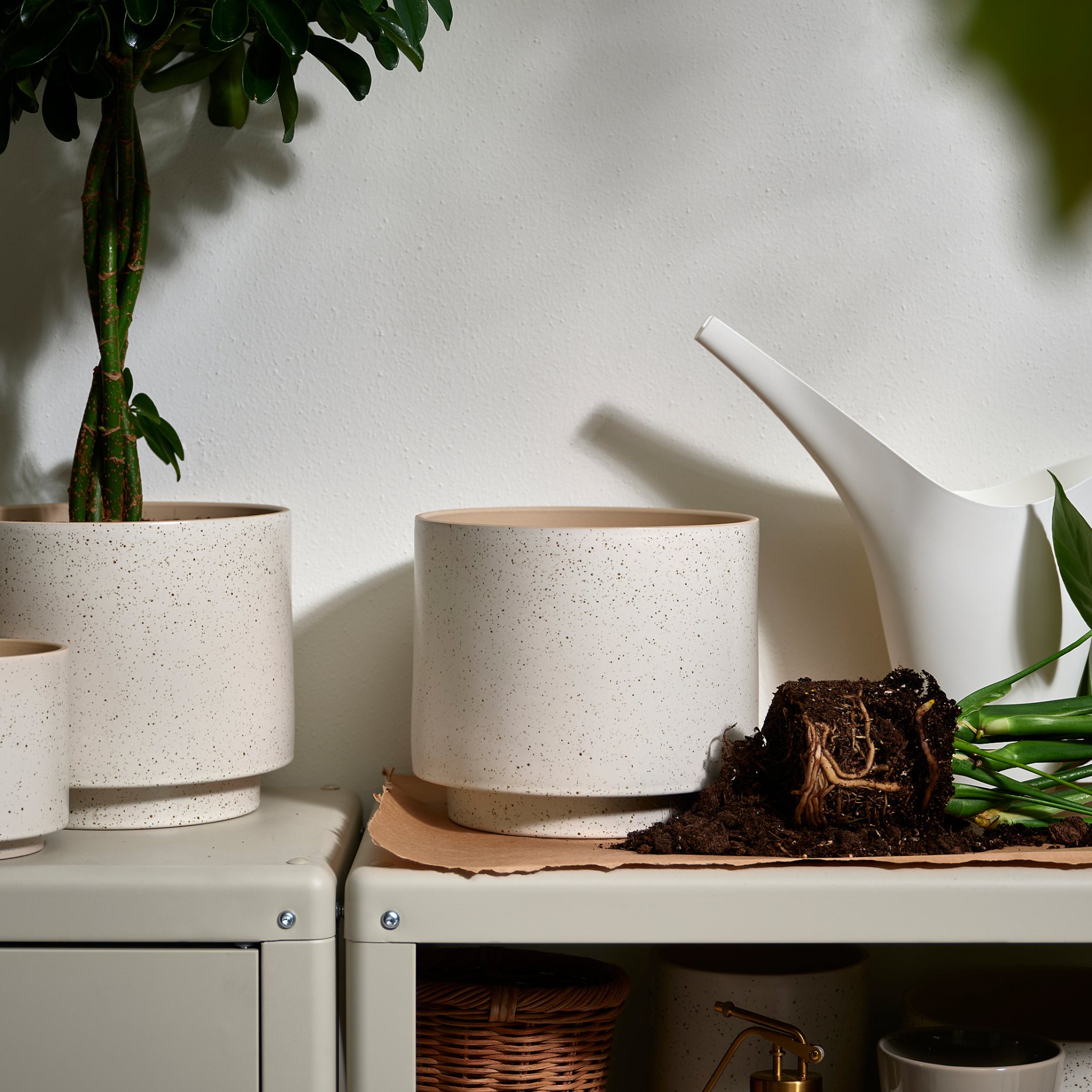 SANDKÖRSBÄR, plant pot in/outdoor, 19 cm, 506.218.27