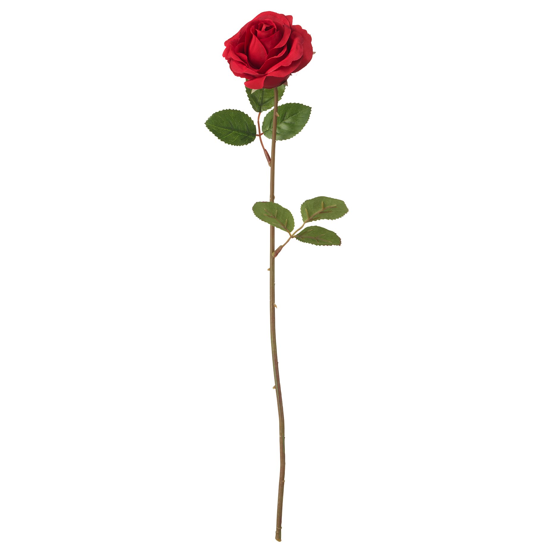 SMYCKA, τεχνητό λουλούδι, Τριαντάφυλλο, 603.335.86