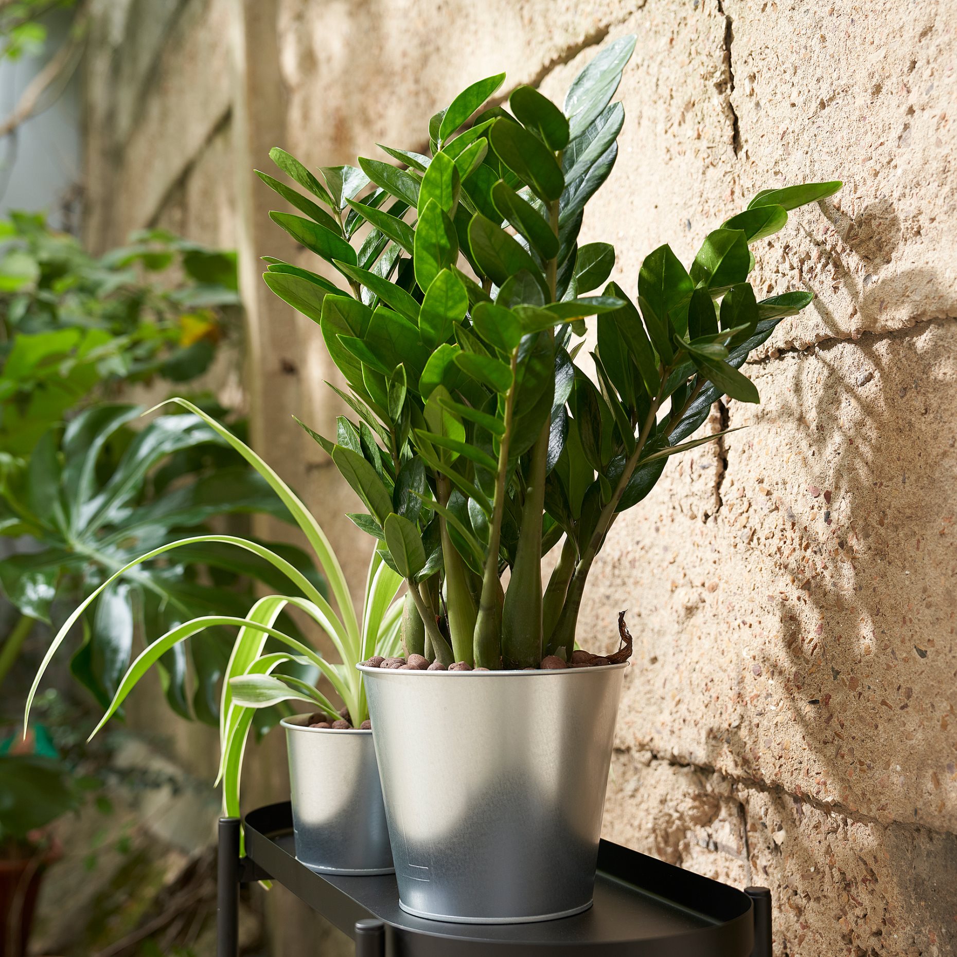 ÅKERBÄR, plant pot/in/outdoor, 15 cm, 605.371.59