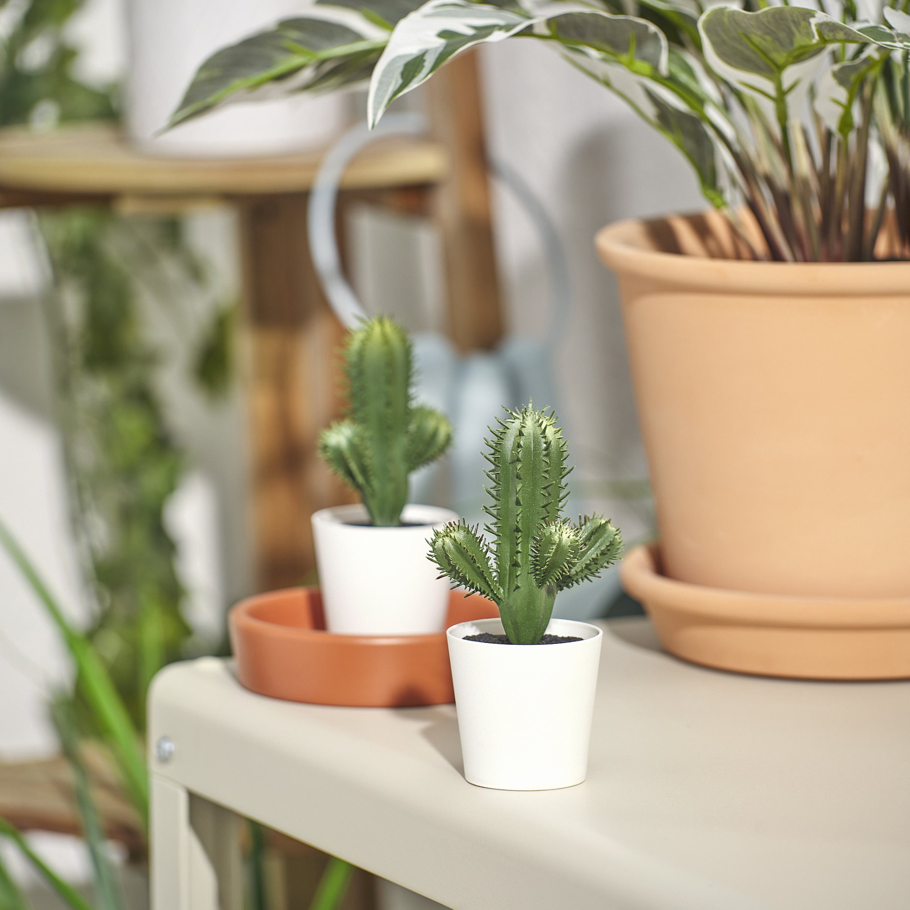 FEJKA, artificial potted plant/in/outdoor Cactus, 6 cm, 605.871.54