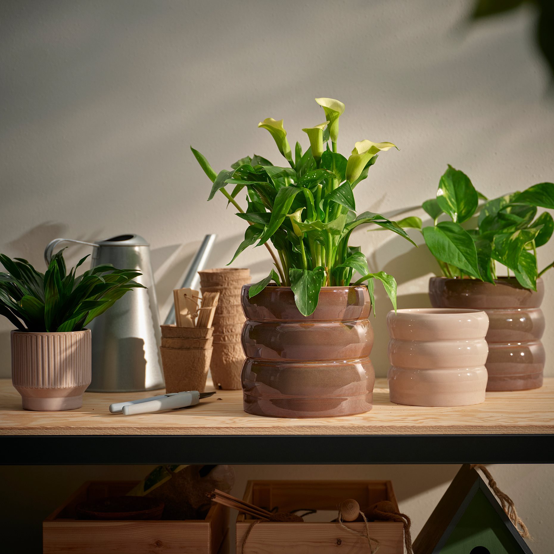 HASSELBUKETT, plant pot in/outdoor, 12 cm, 605.959.17