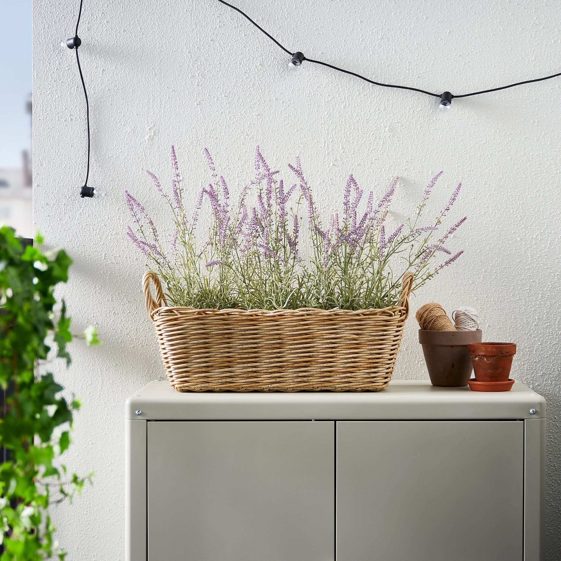 FLODBJÖRK, flower box in/outdoor, 54x21 cm, 606.120.59