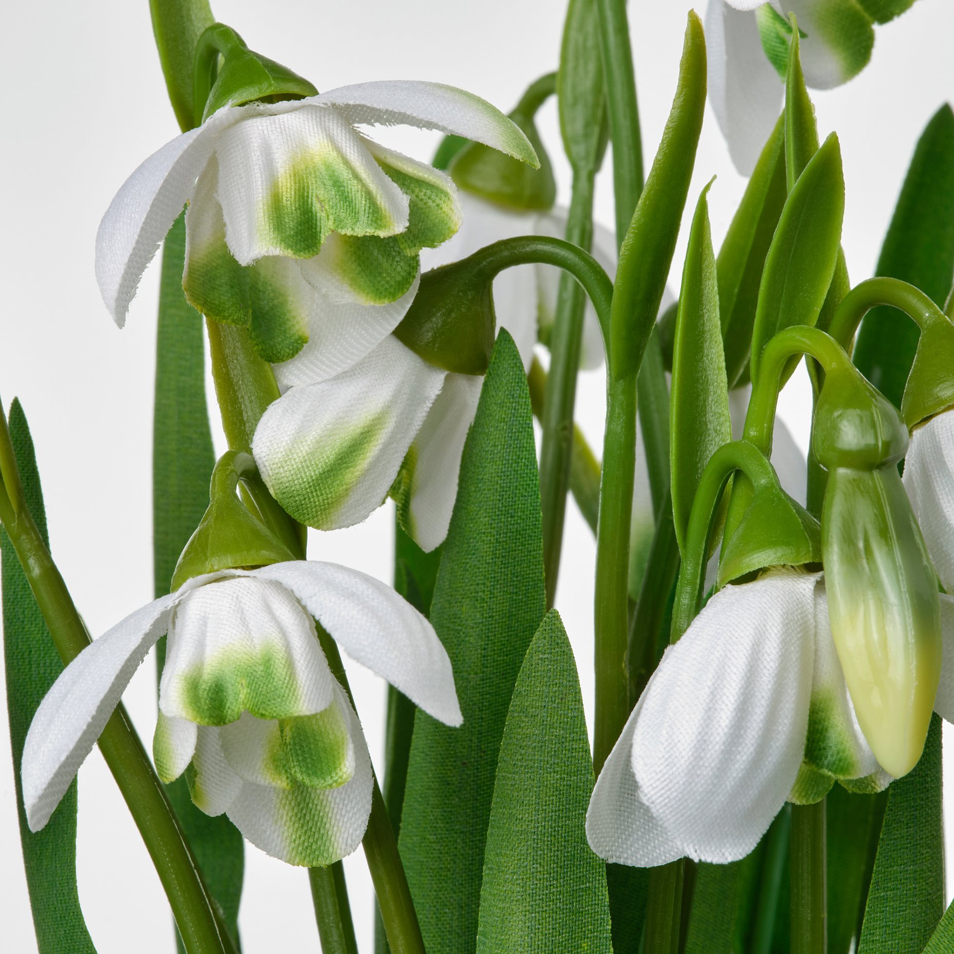 FEJKA, artificial potted plant in/outdoor/snowdrop, 9 cm, 606.133.51