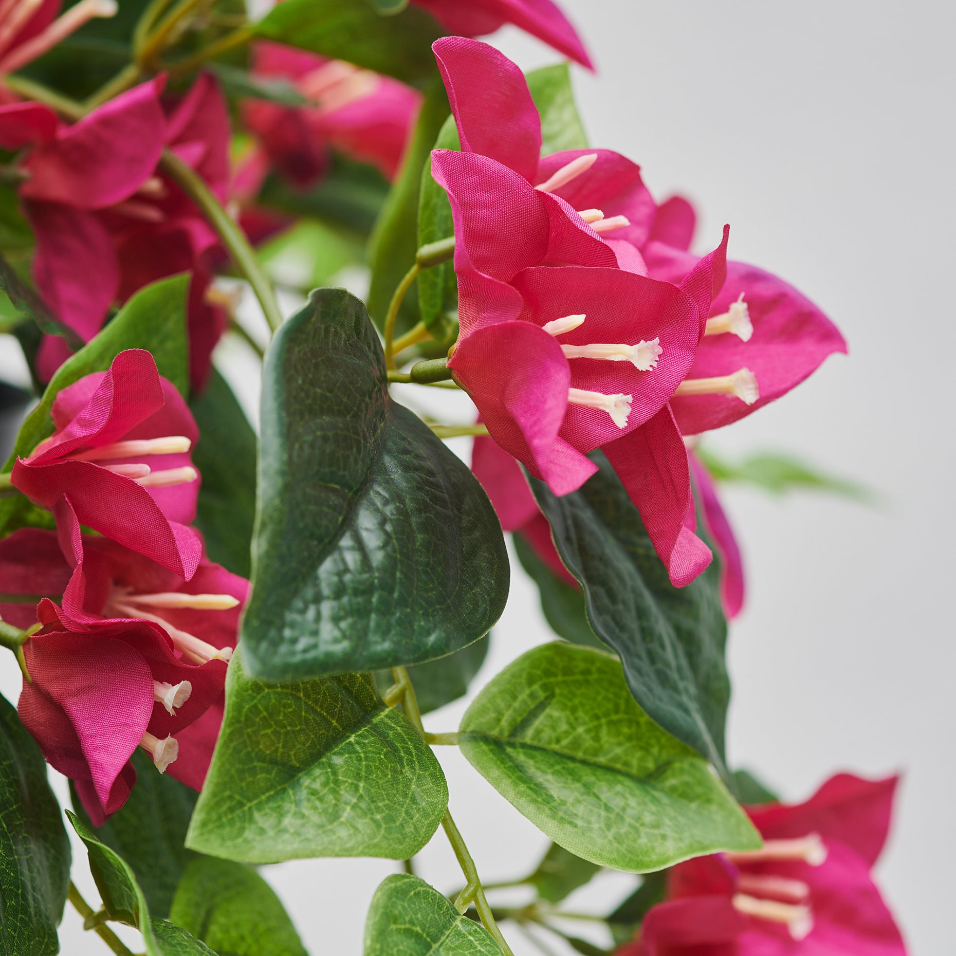 FEJKA, artificial potted plant in/outdoor/Bouganvilla, 12 cm, 606.177.64