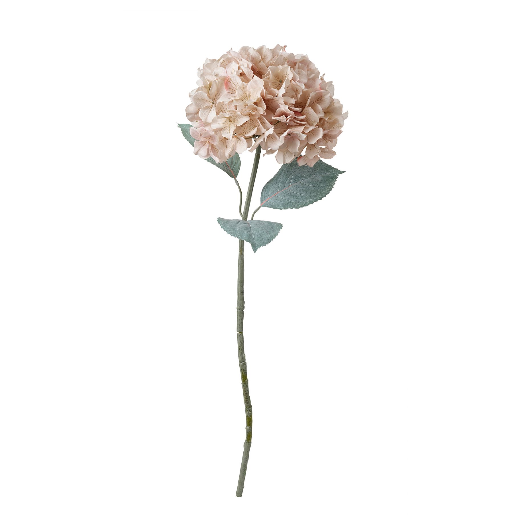 SMYCKA, artificial flower in/outdoor/hydrangea, 75 cm, 606.373.33