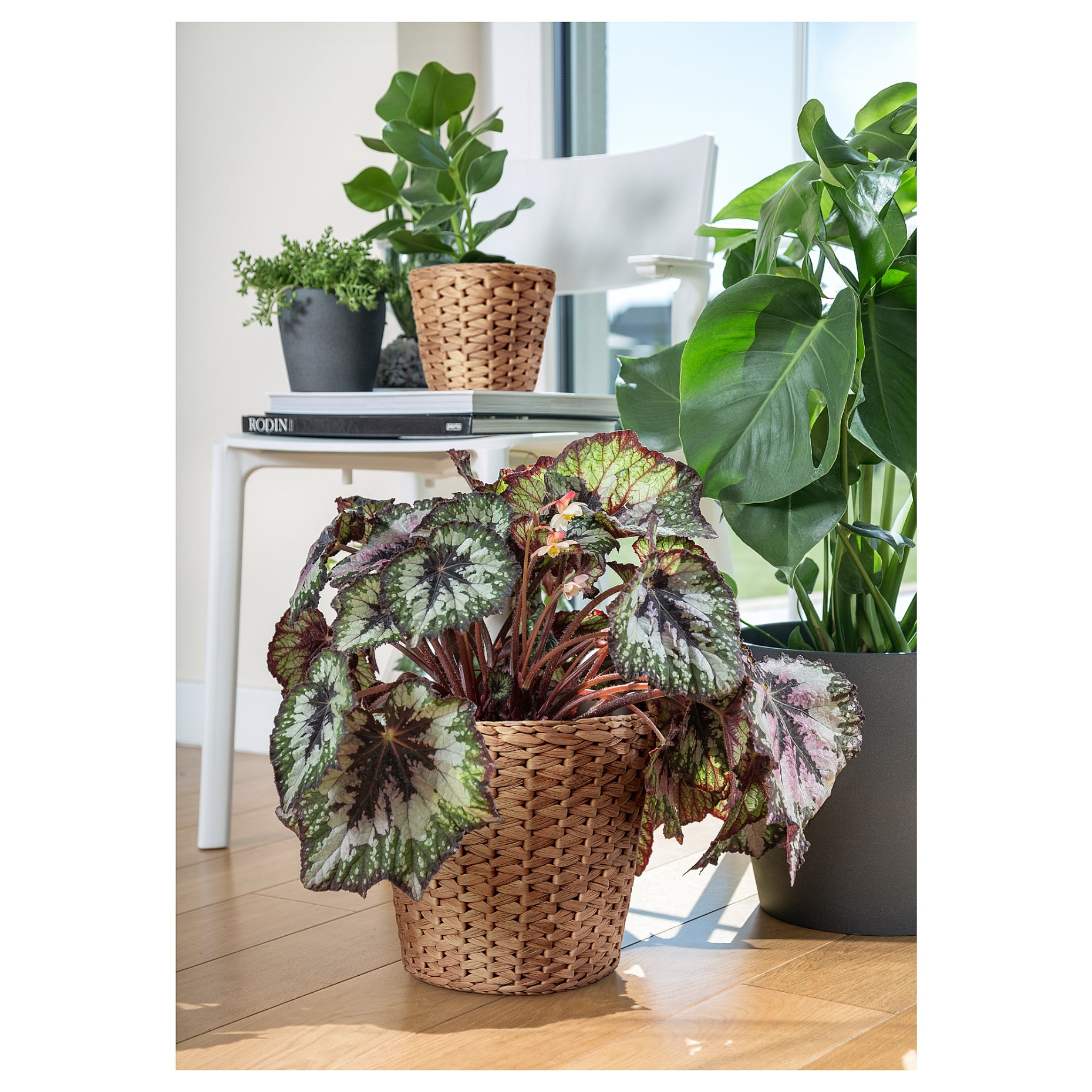 FRIDFULL, plant pot, 24 cm, 705.134.12