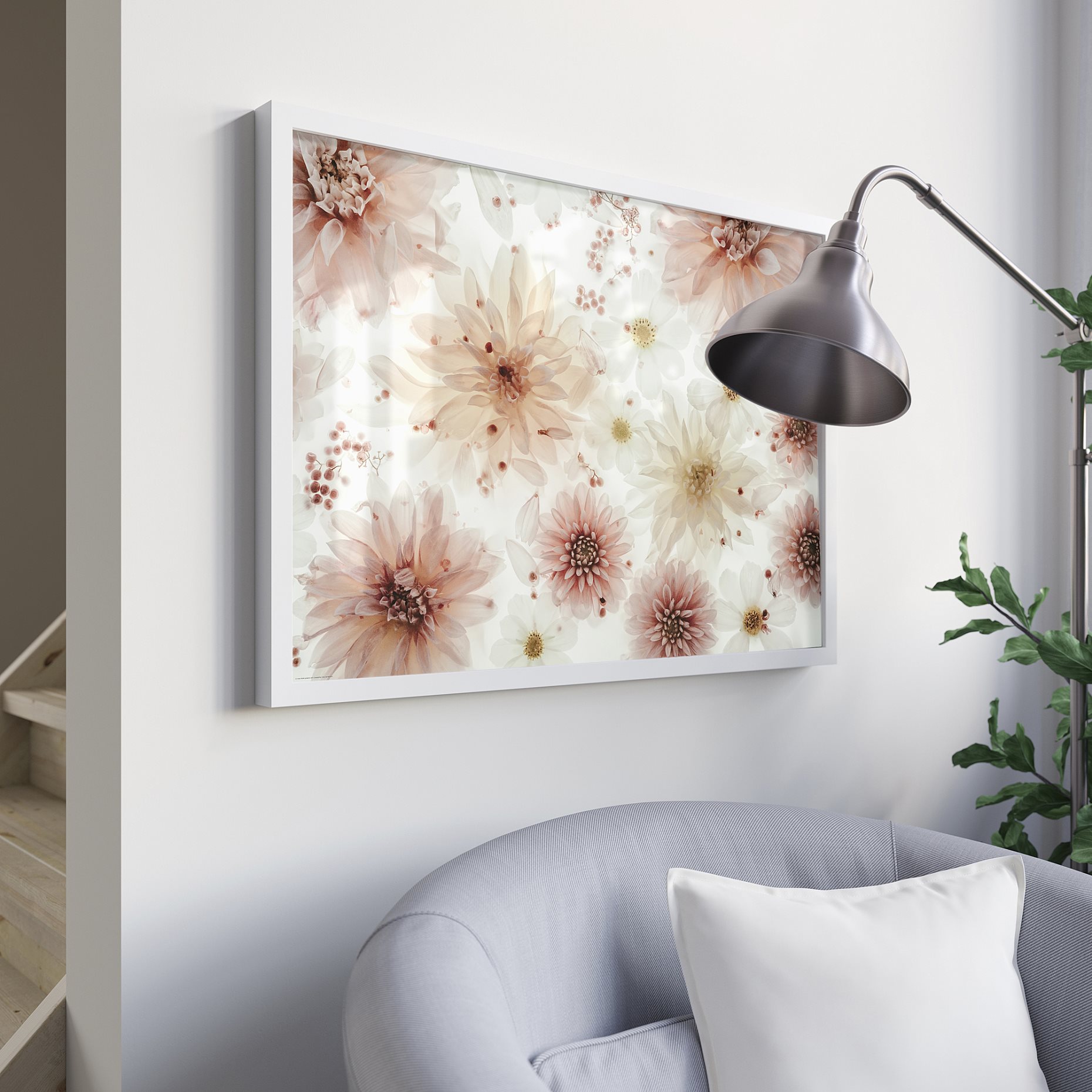 BILD, poster/flowers-transparent, 70x50 cm, 705.788.80
