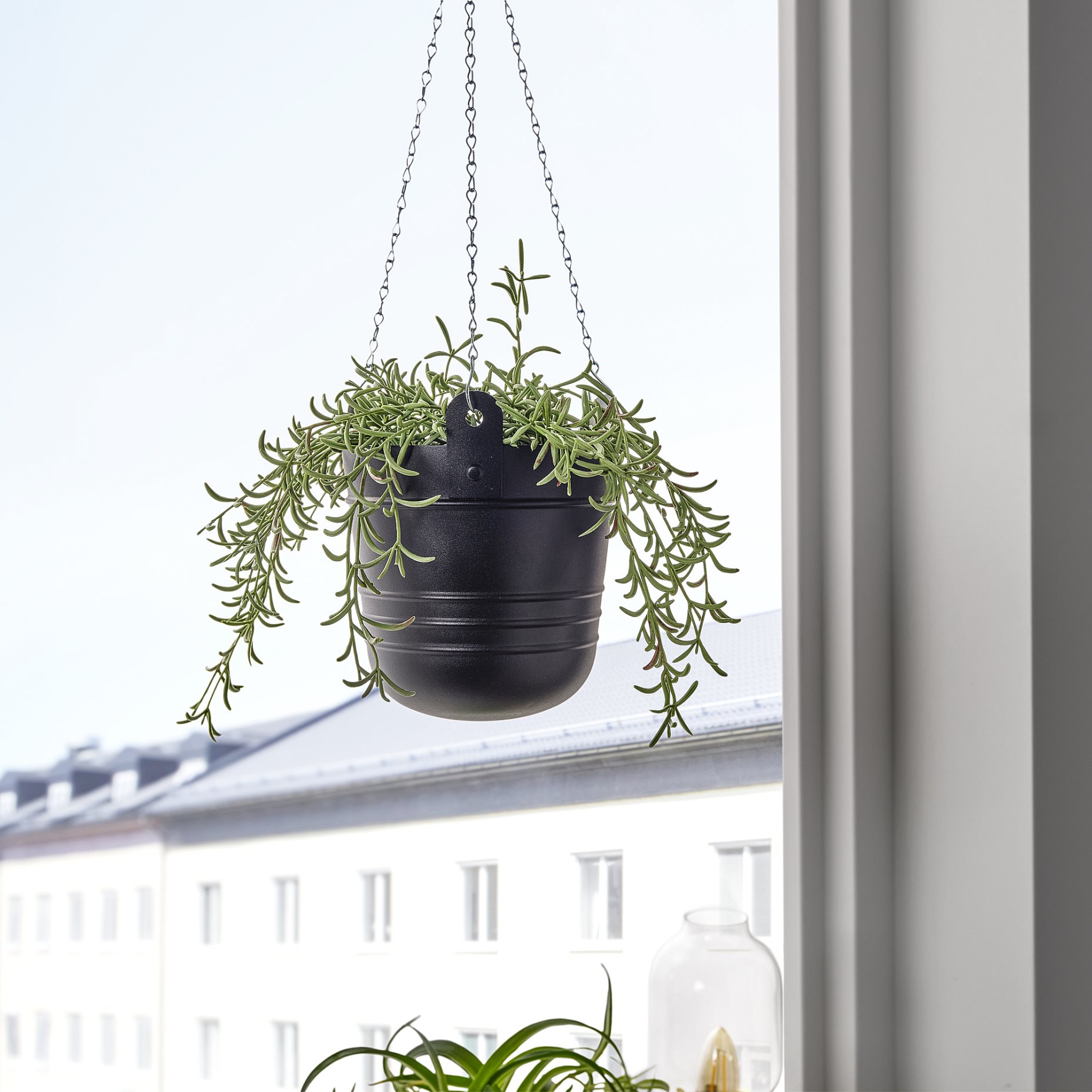 PÄRLRÖNN, hanging planter in/outdoor, 15 cm, 705.822.50