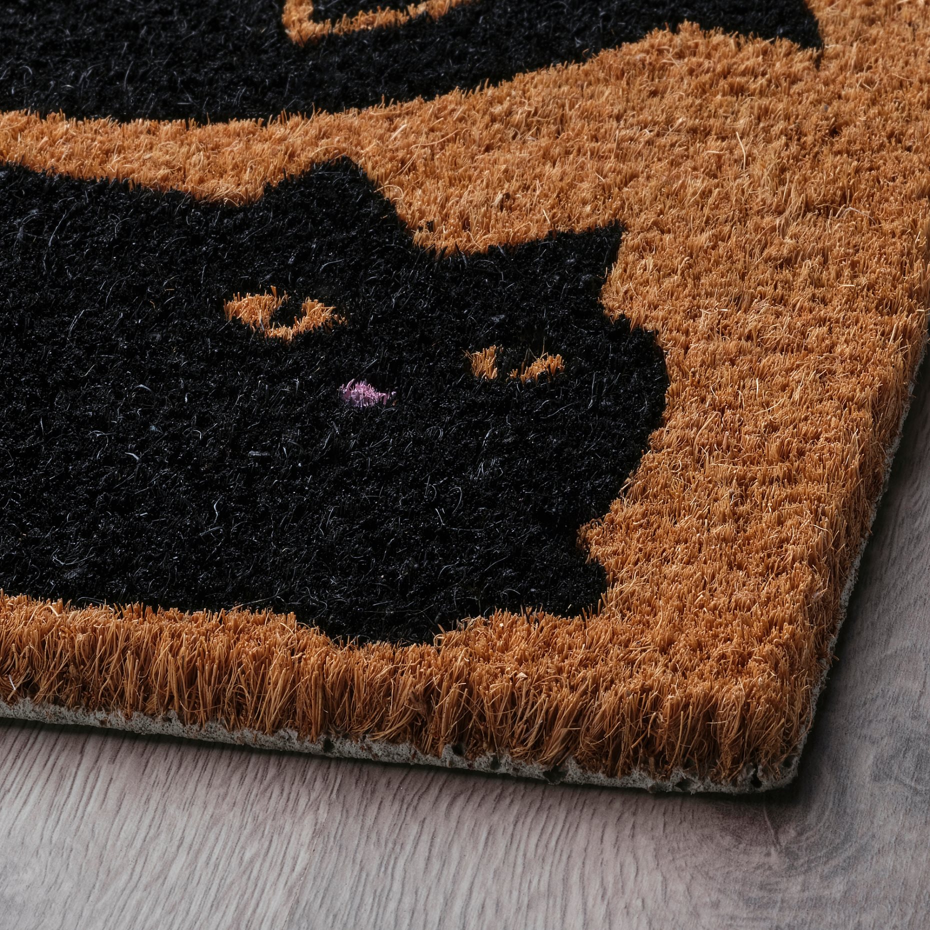 VAGTYP, door mat, 40x60 cm, 705.825.37