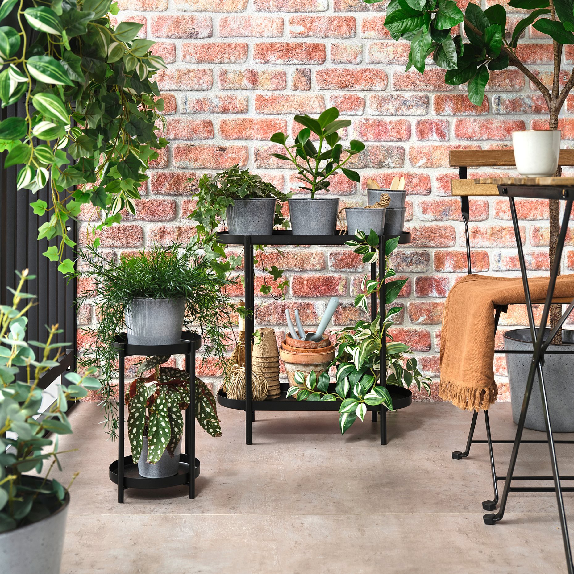 FJÄRILSBUSKE, plant pot/in/outdoor, 12 cm, 705.866.82