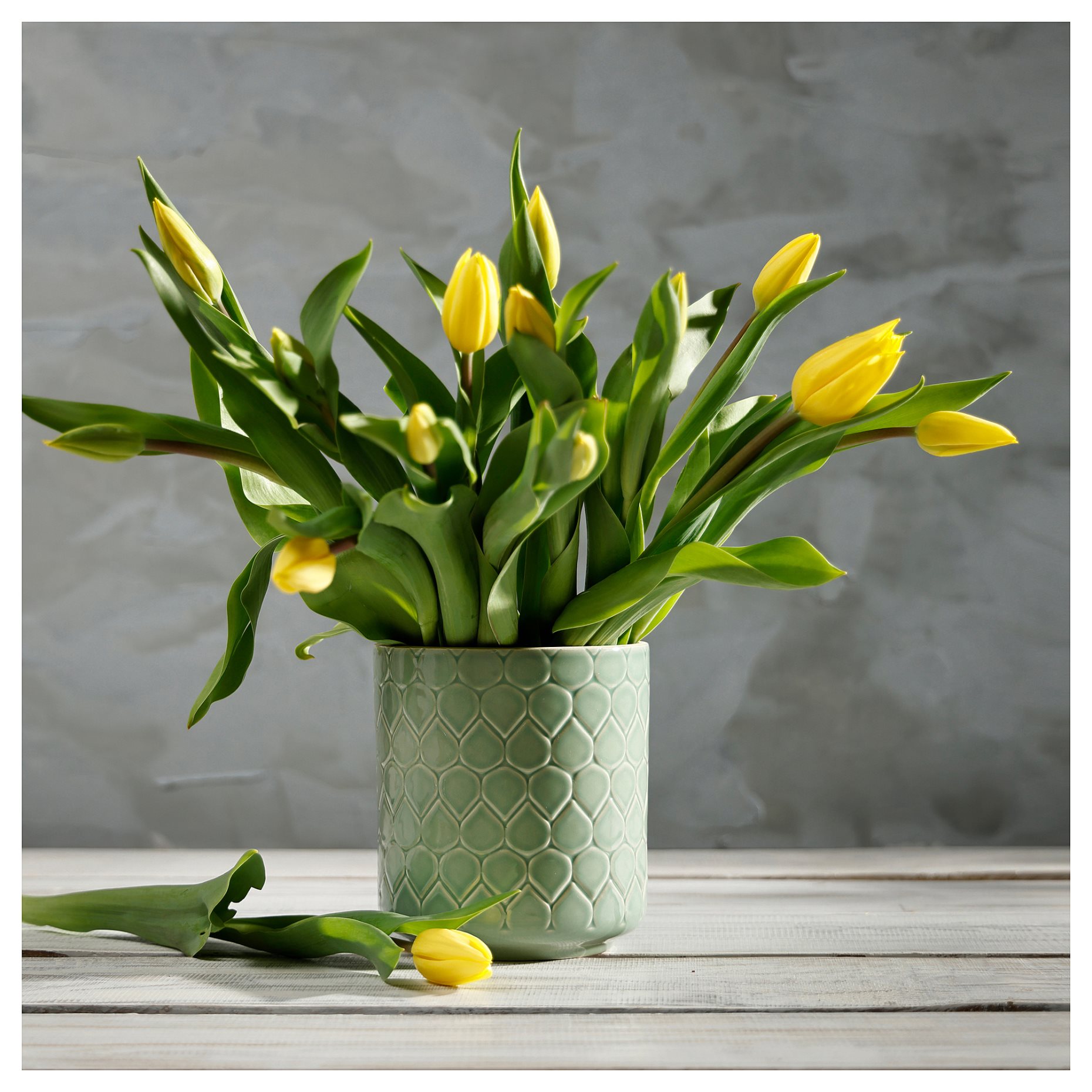 KRYPIDEGRAN, vase, 15 cm, 805.673.86