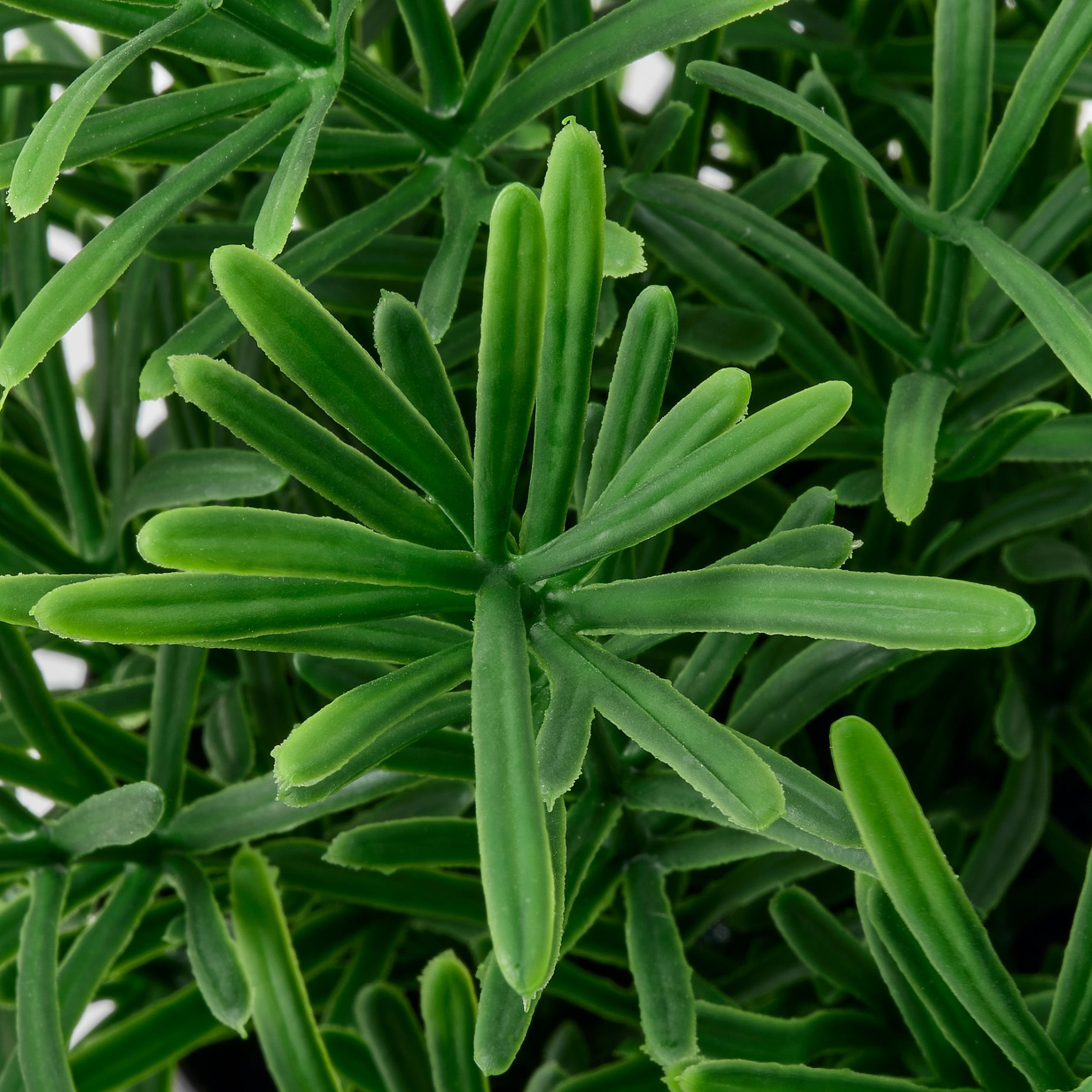 FEJKA, artificial potted plant in/outdoor/Rosemary, 9 cm, 806.107.47