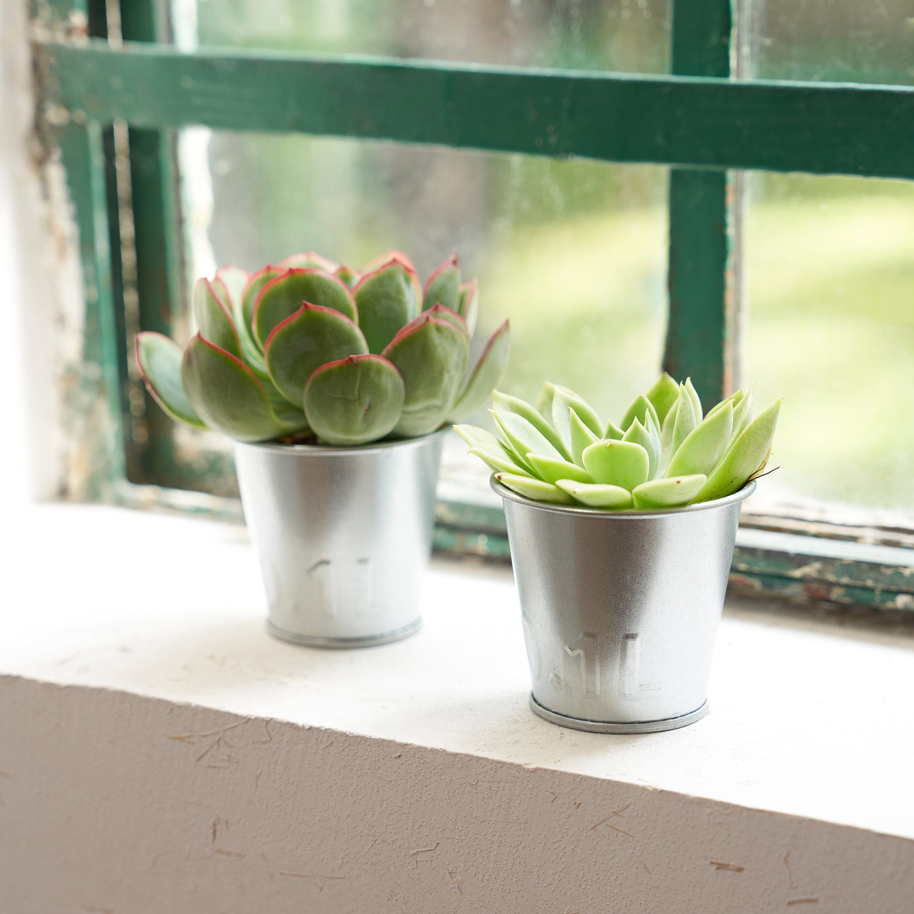 ÅKERBÄR, plant pot/in/outdoor, 6 cm, 905.371.53