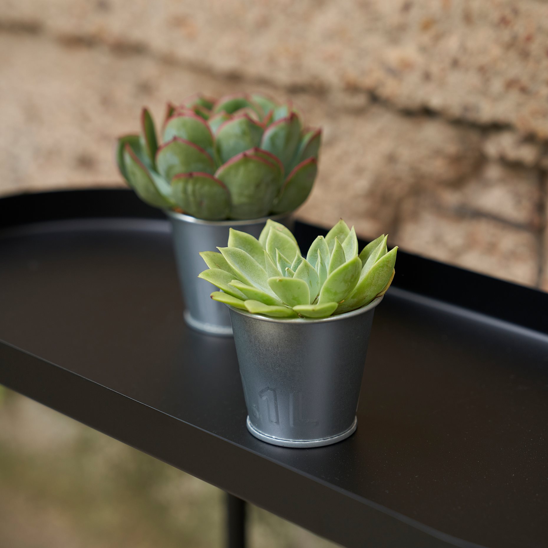 ÅKERBÄR, plant pot/in/outdoor, 6 cm, 905.371.53
