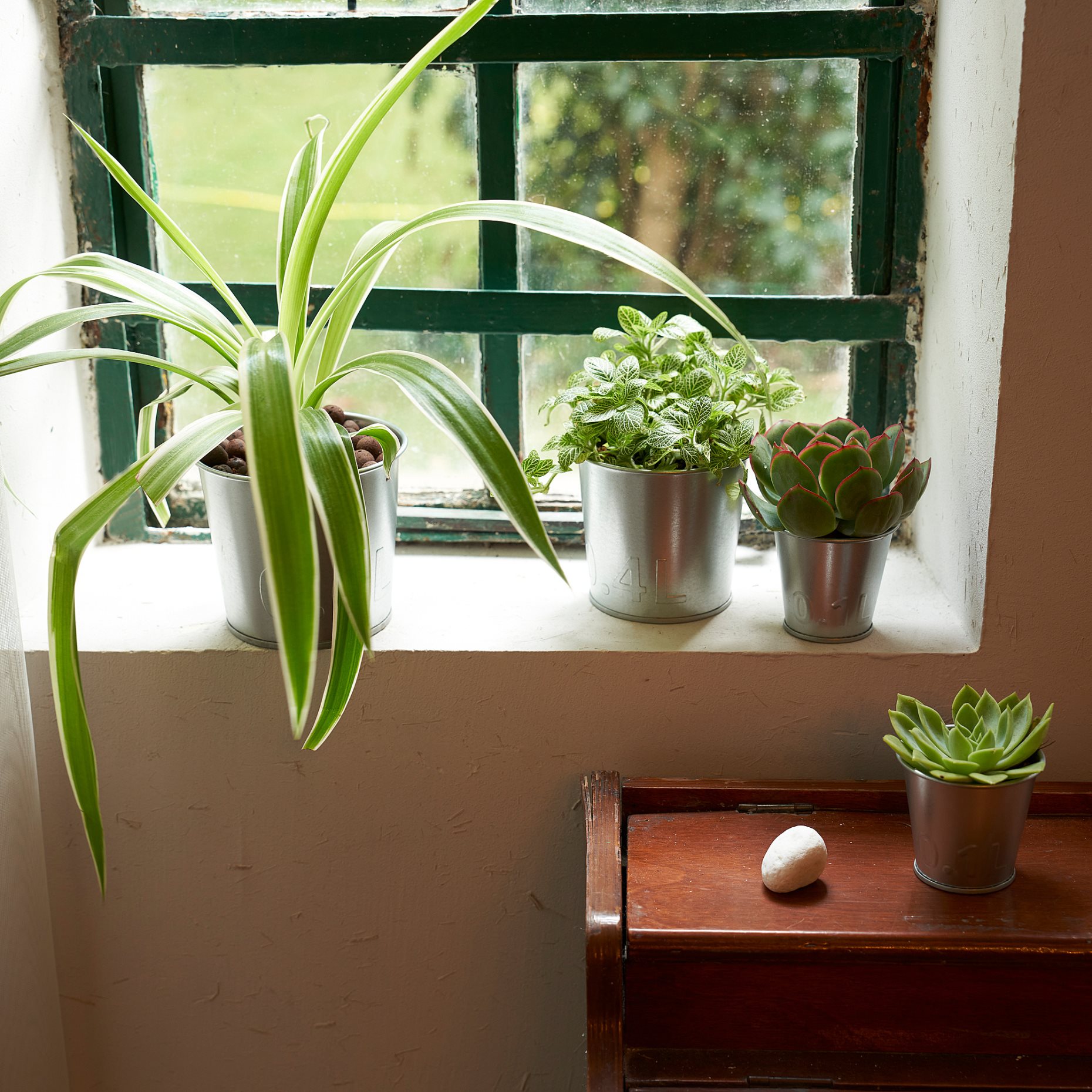 ÅKERBÄR, plant pot/in/outdoor, 6 cm, 905.371.53