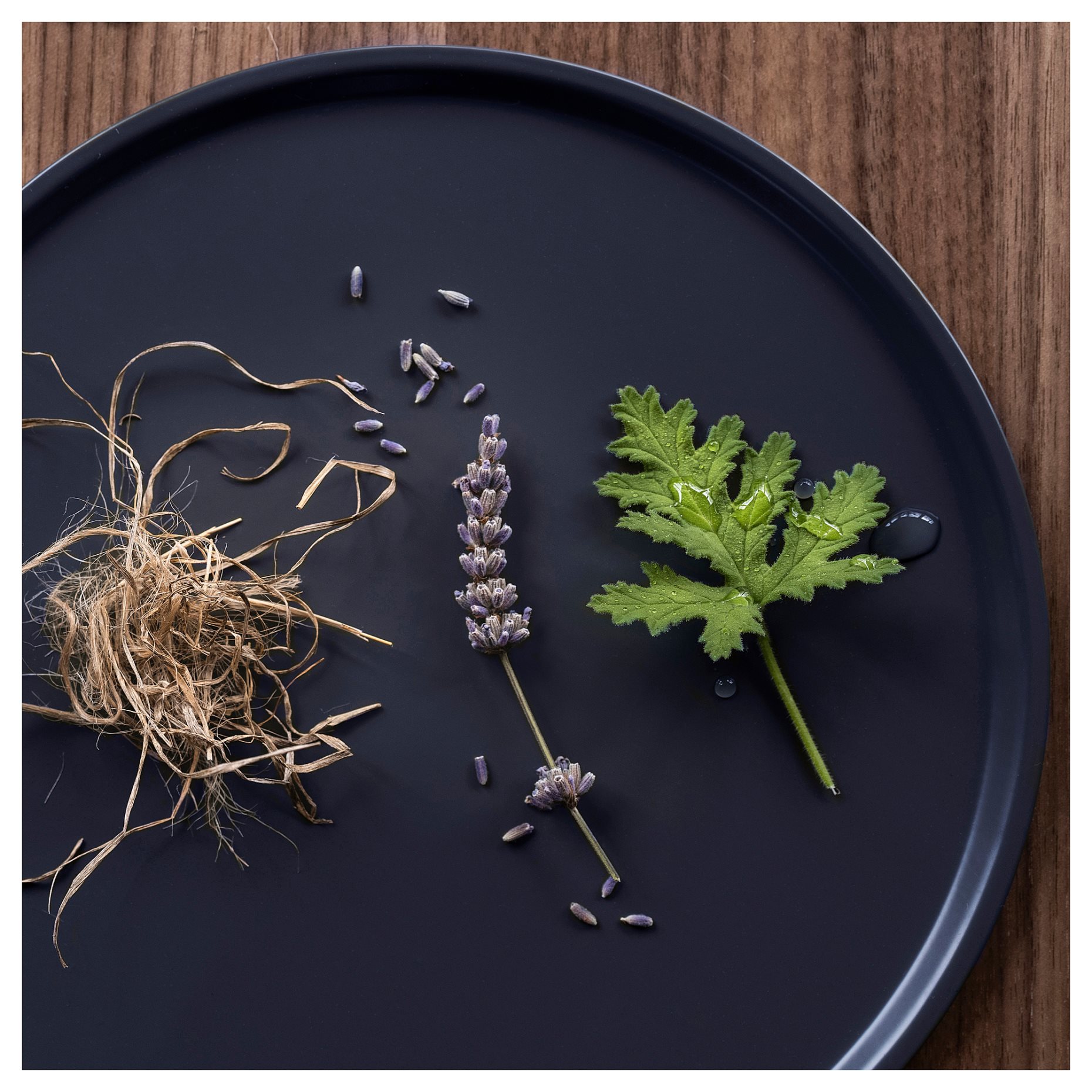 FRUKTSKOG, αρωματικό κερί σε ποτήρι/Βέτιβερ & γεράνι, 40 ώρες, 905.558.30