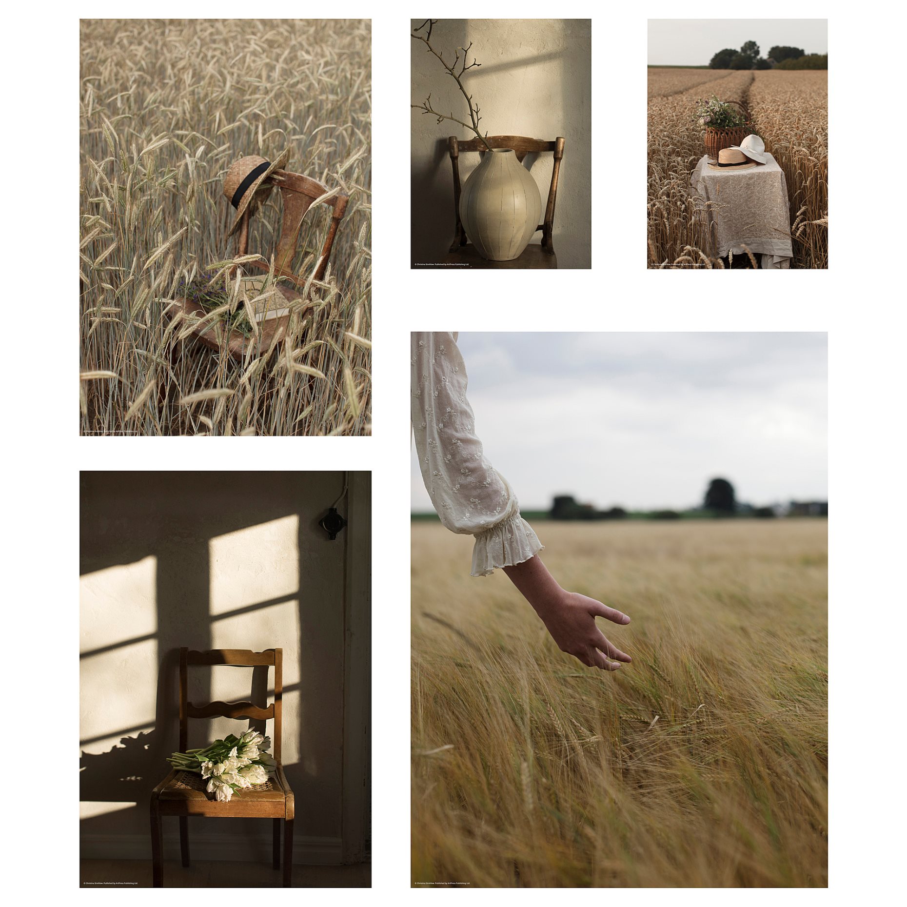 RODALM, poster/golden moments, set of 5, 905.788.98
