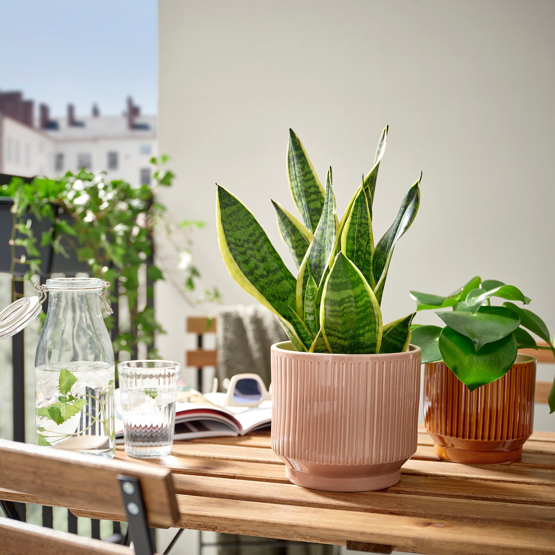HONUNGSPALM, plant pot in/outdoor, 15 cm, 905.957.94