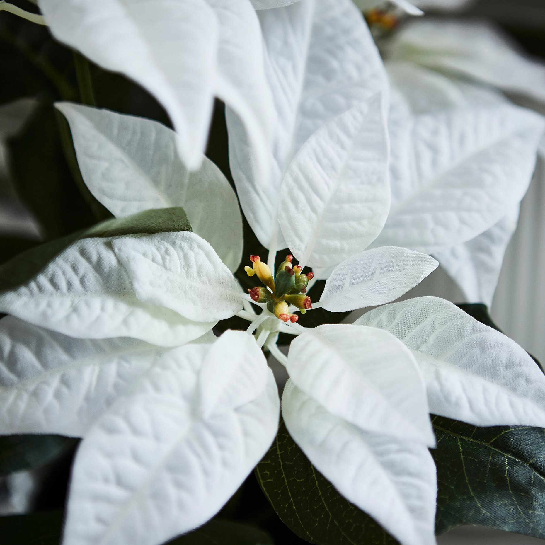 VINTERFINT, artificial potted plant in/outdoor Poinsettia, 12 cm, 906.066.36