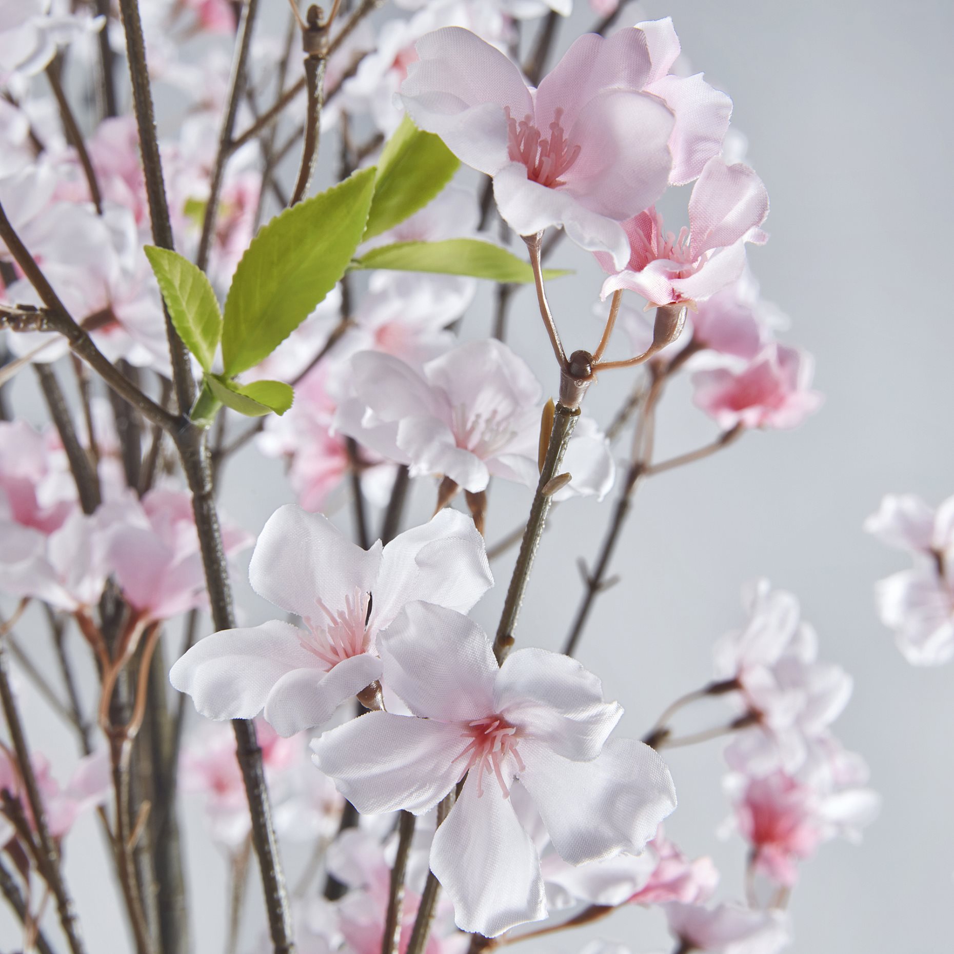 FEJKA, artificial potted plant in/outdoor cherry-blossoms, 19 cm, 906.133.35