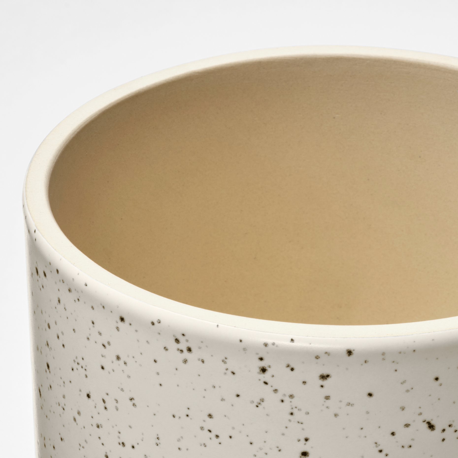 SANDKÖRSBÄR, plant pot in/outdoor, 12 cm, 906.218.25