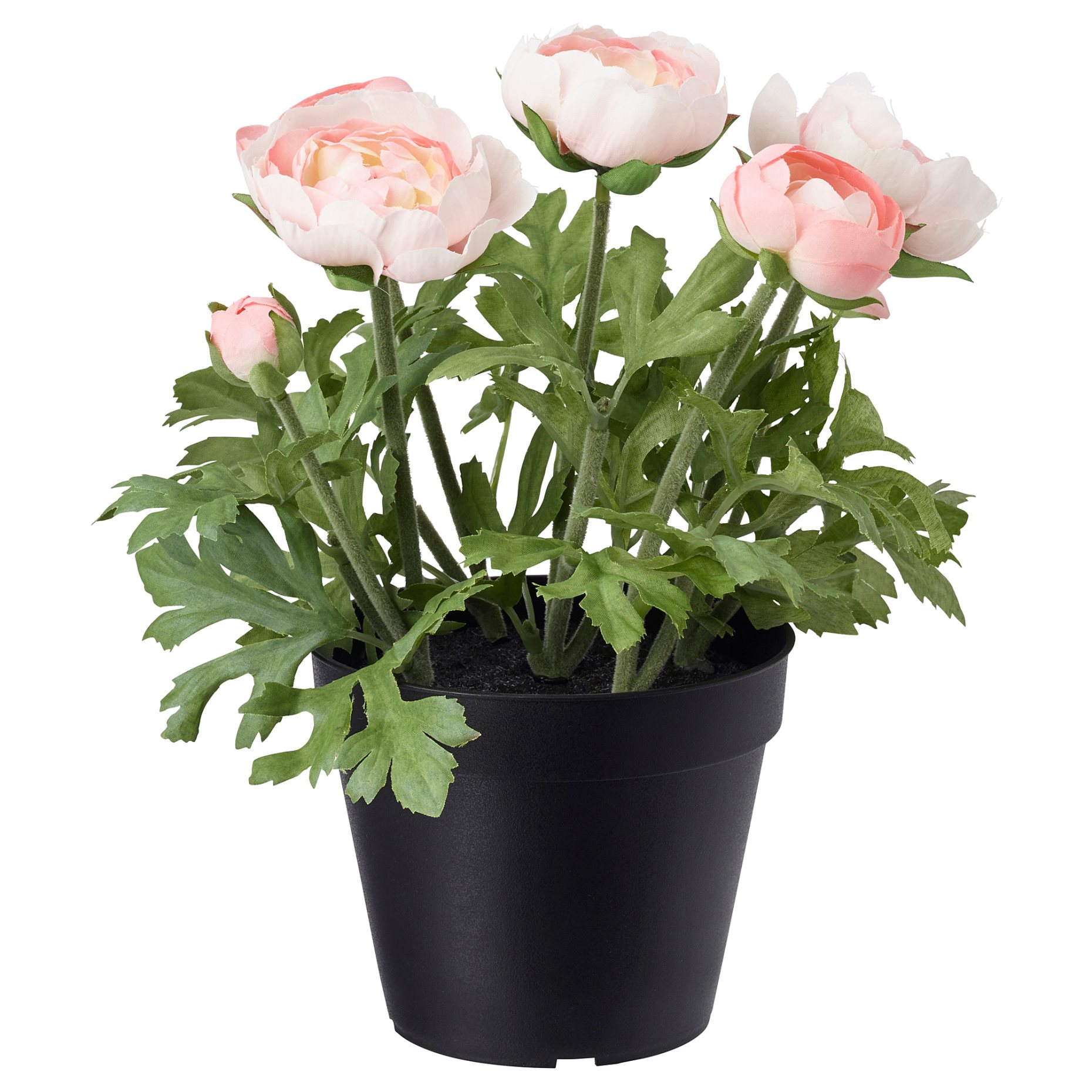 FEJKA, artificial potted plant in/outdoor, Ranunculus, 003.952.90