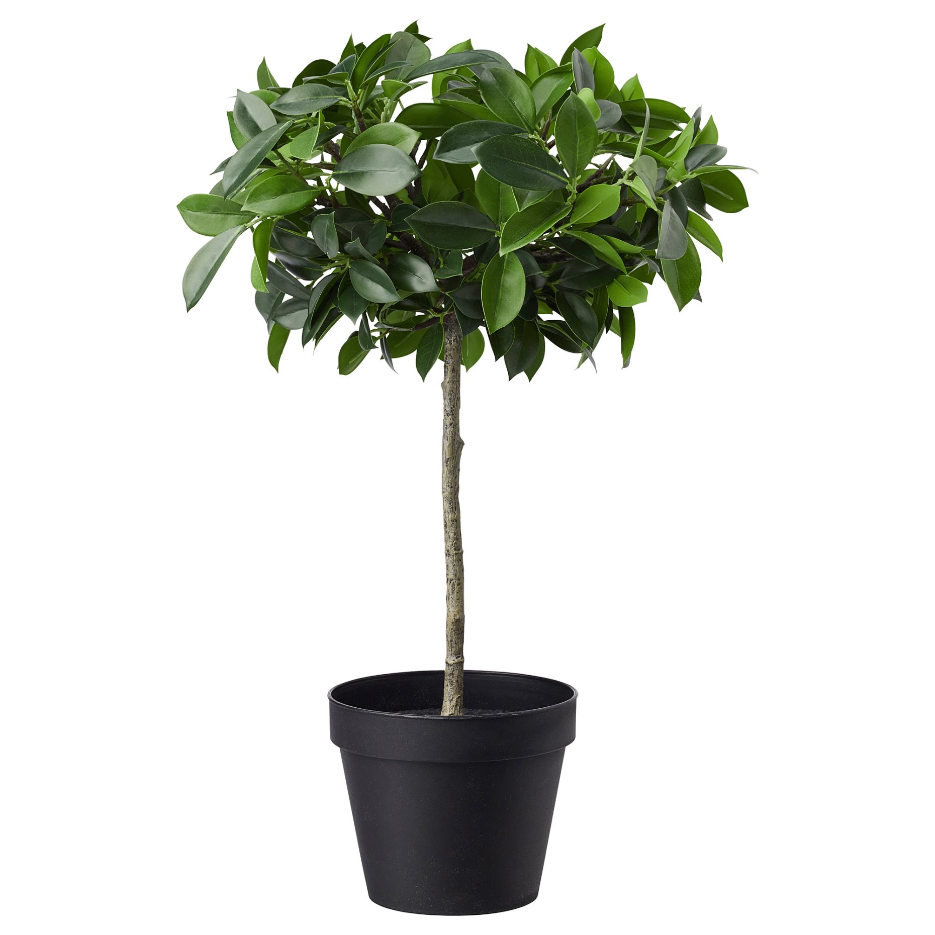 FEJKA, artificial potted plant in/out, Weeping fig stem, 003.953.08