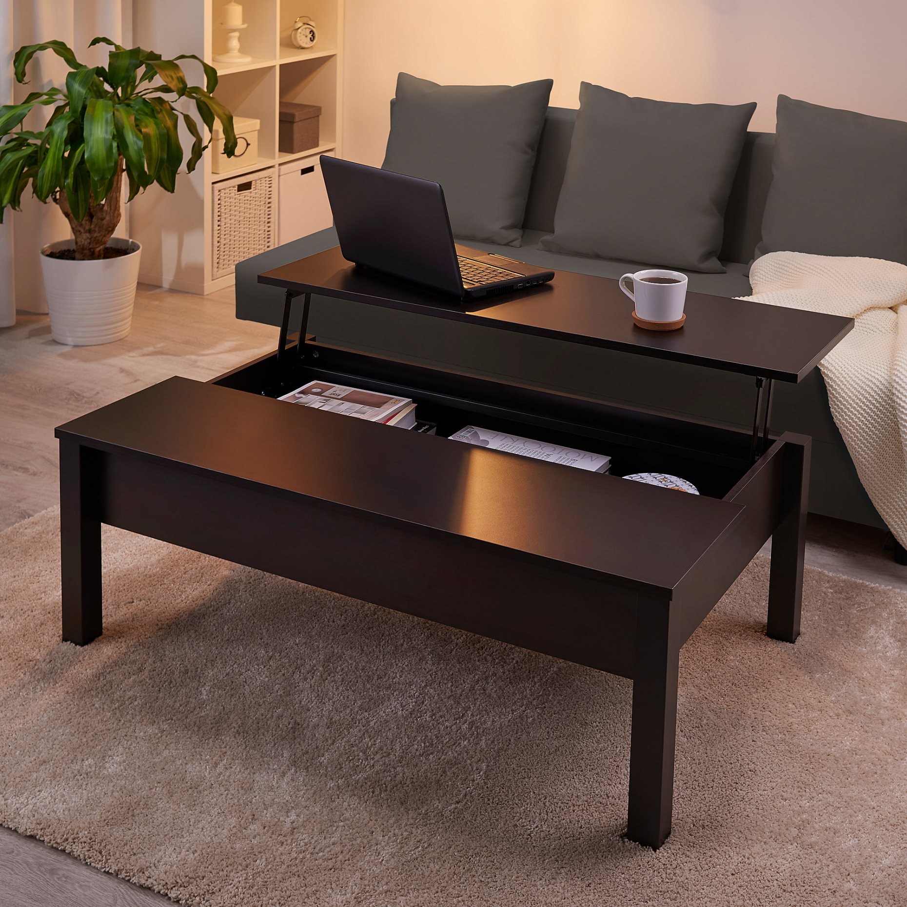 TRULSTORP, coffee table, 004.002.77