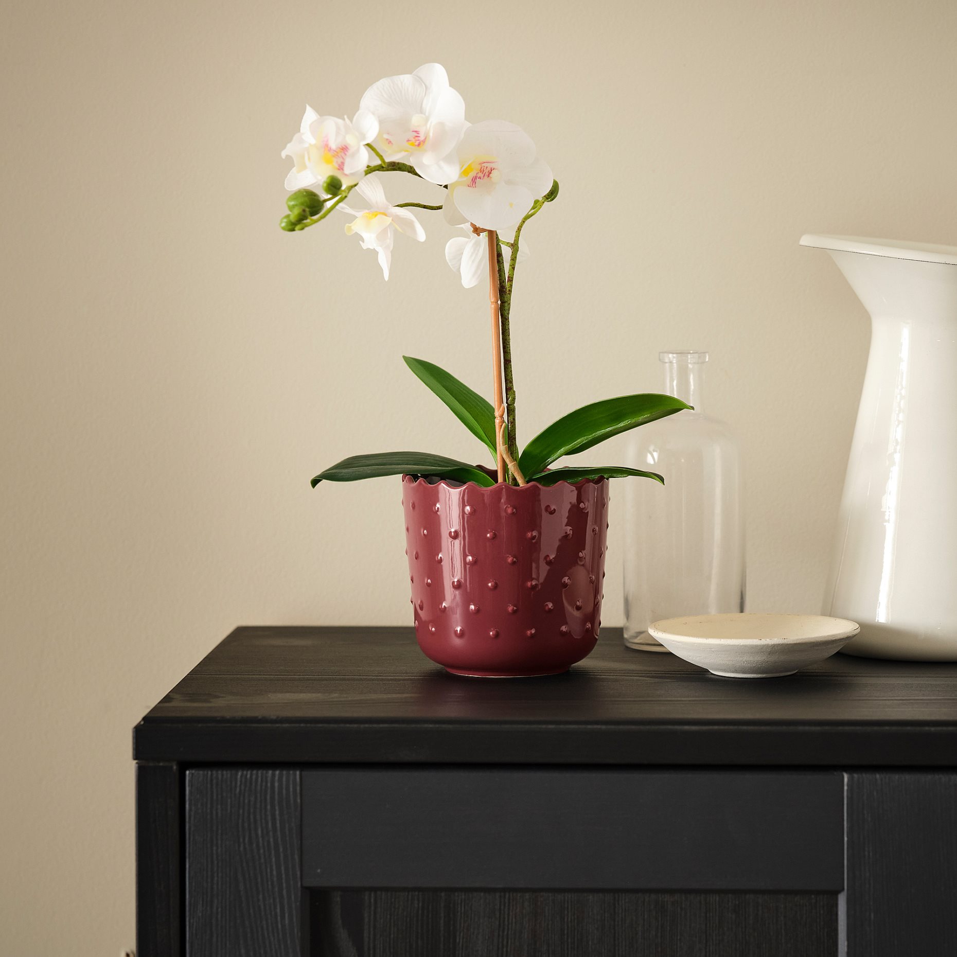 SESAMFRÖN, plant pot in/outdoor, 9 cm, 005.693.46