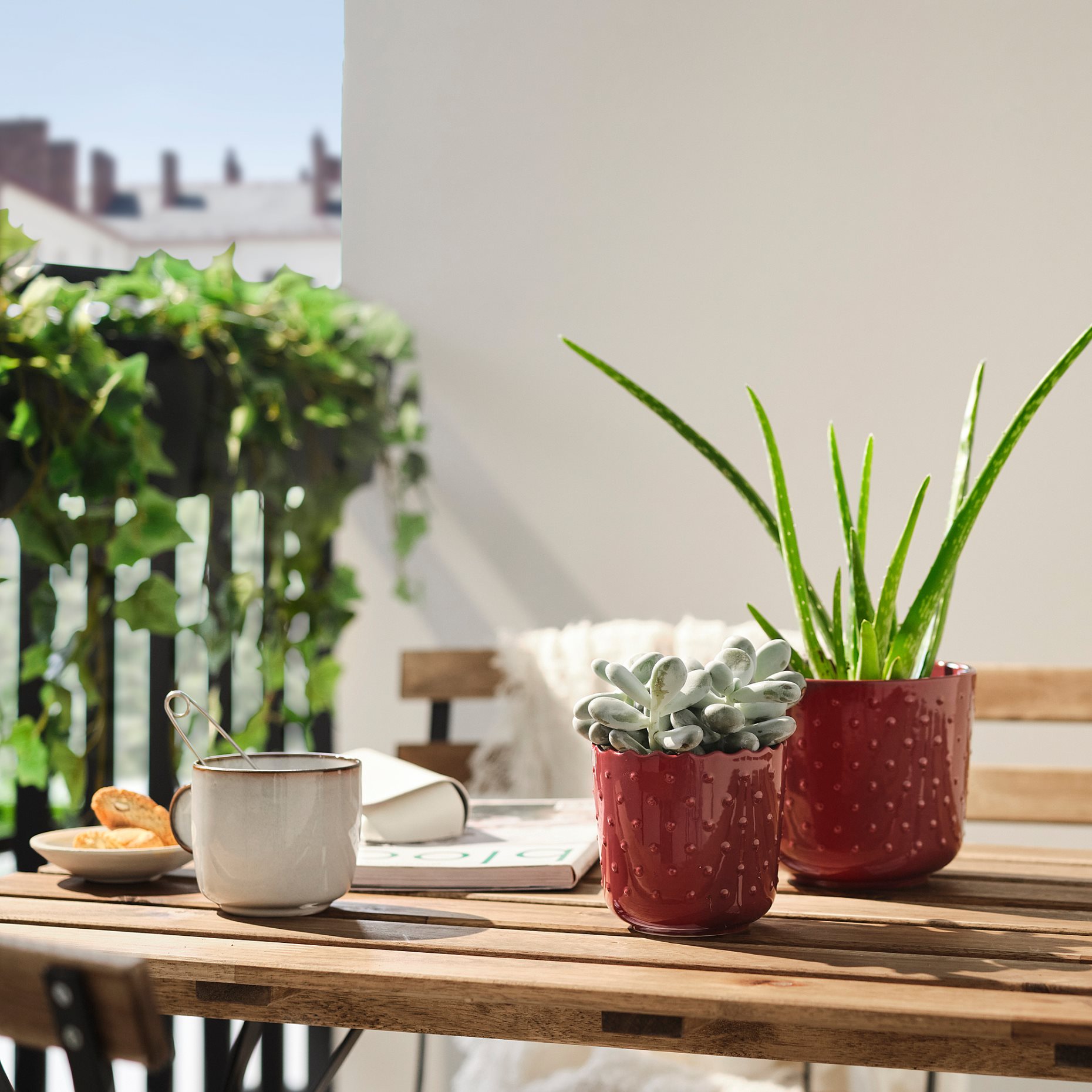 SESAMFRÖN, plant pot in/outdoor, 9 cm, 005.693.46