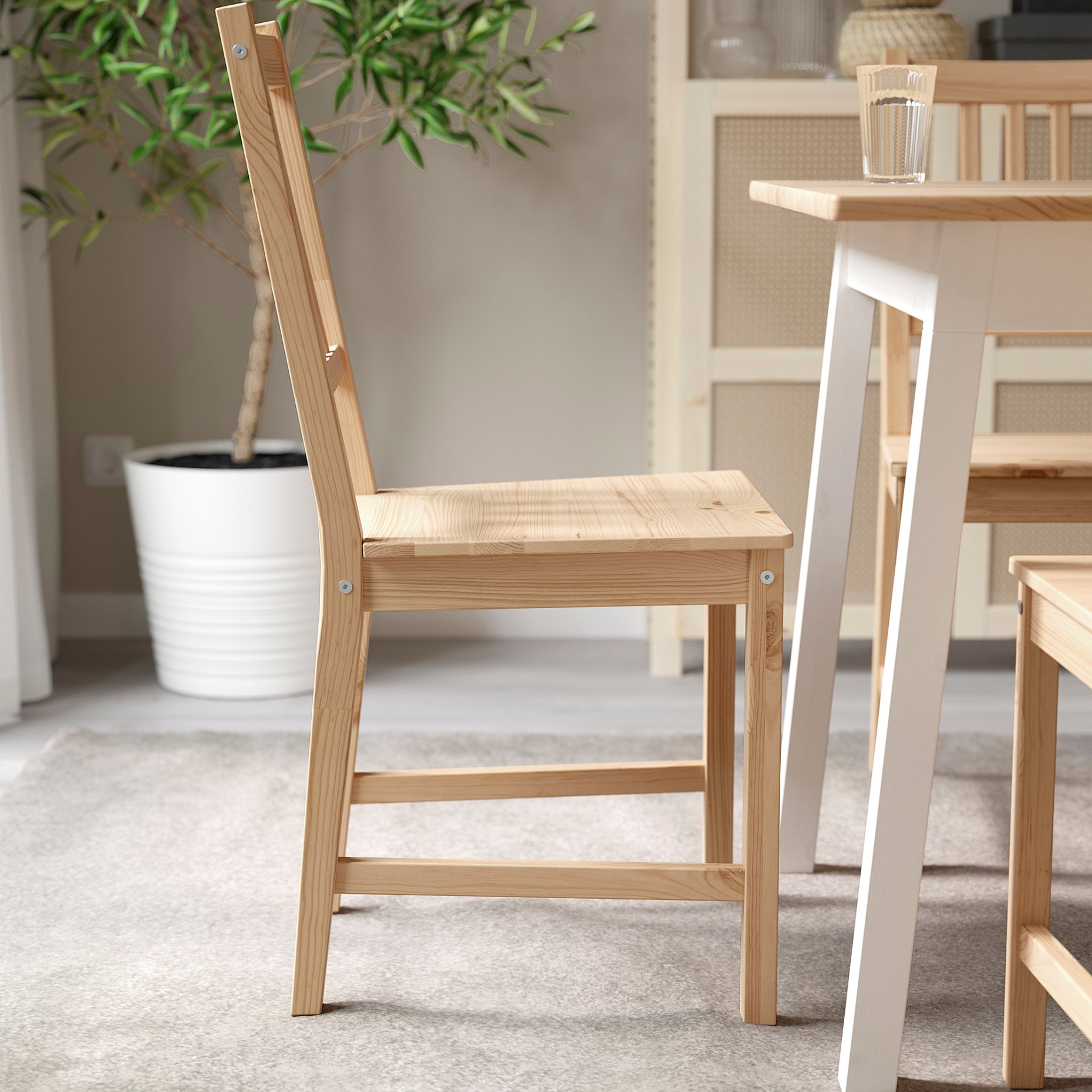PINNTORP, chair, 005.904.80