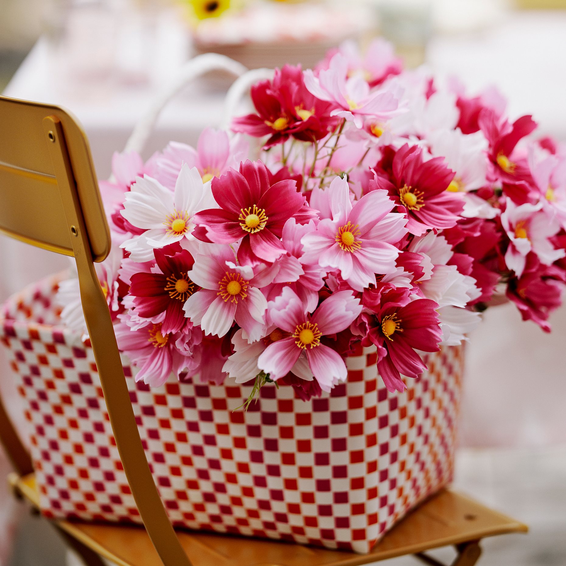 SMYCKA, artificial bouquet in/outdoor/cosmos, 50 cm, 106.176.72
