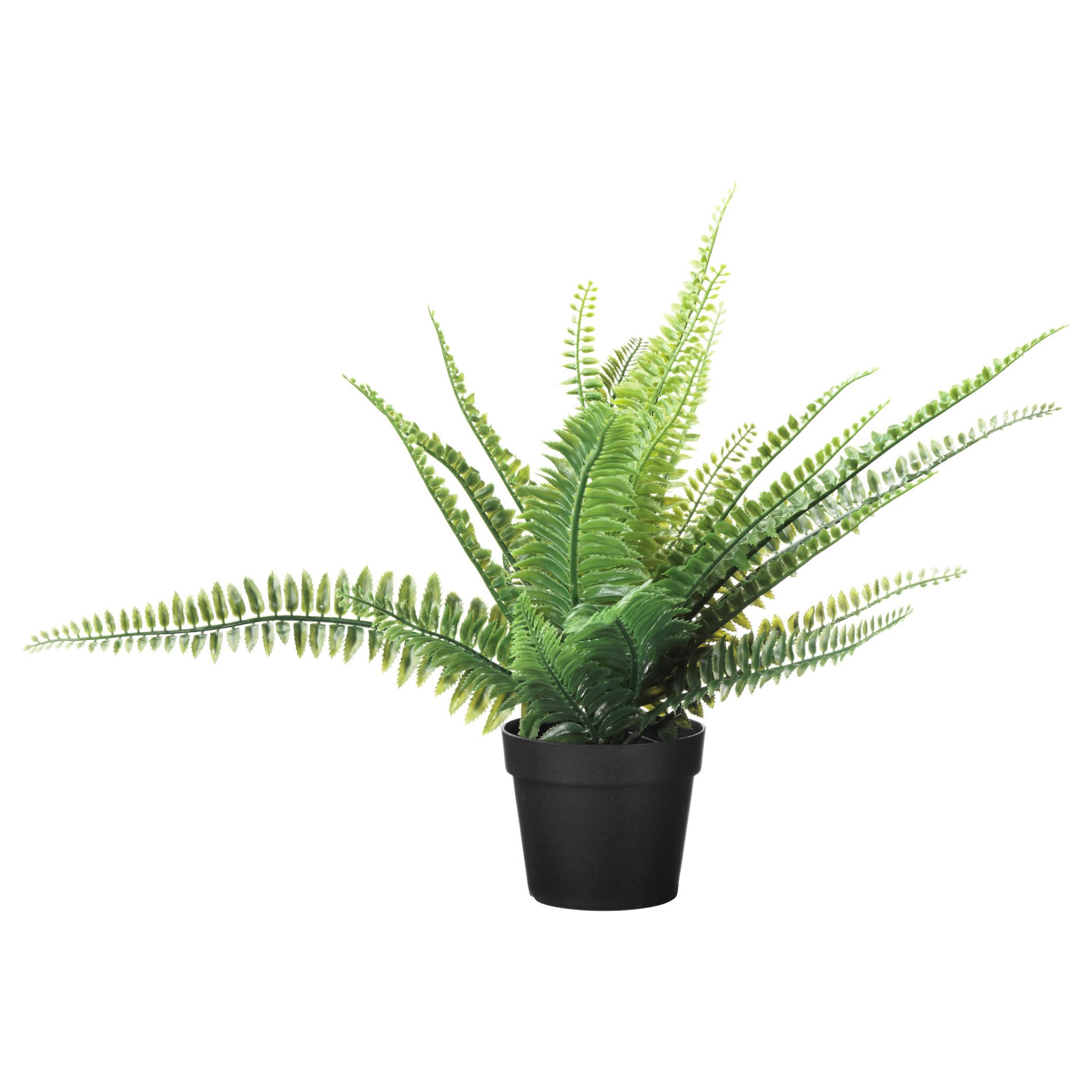 FEJKA, τεχνητό φυτό σε γλάστρα εσωτερικού/εξωτερικού χώρου, φτέρη, 304.339.45