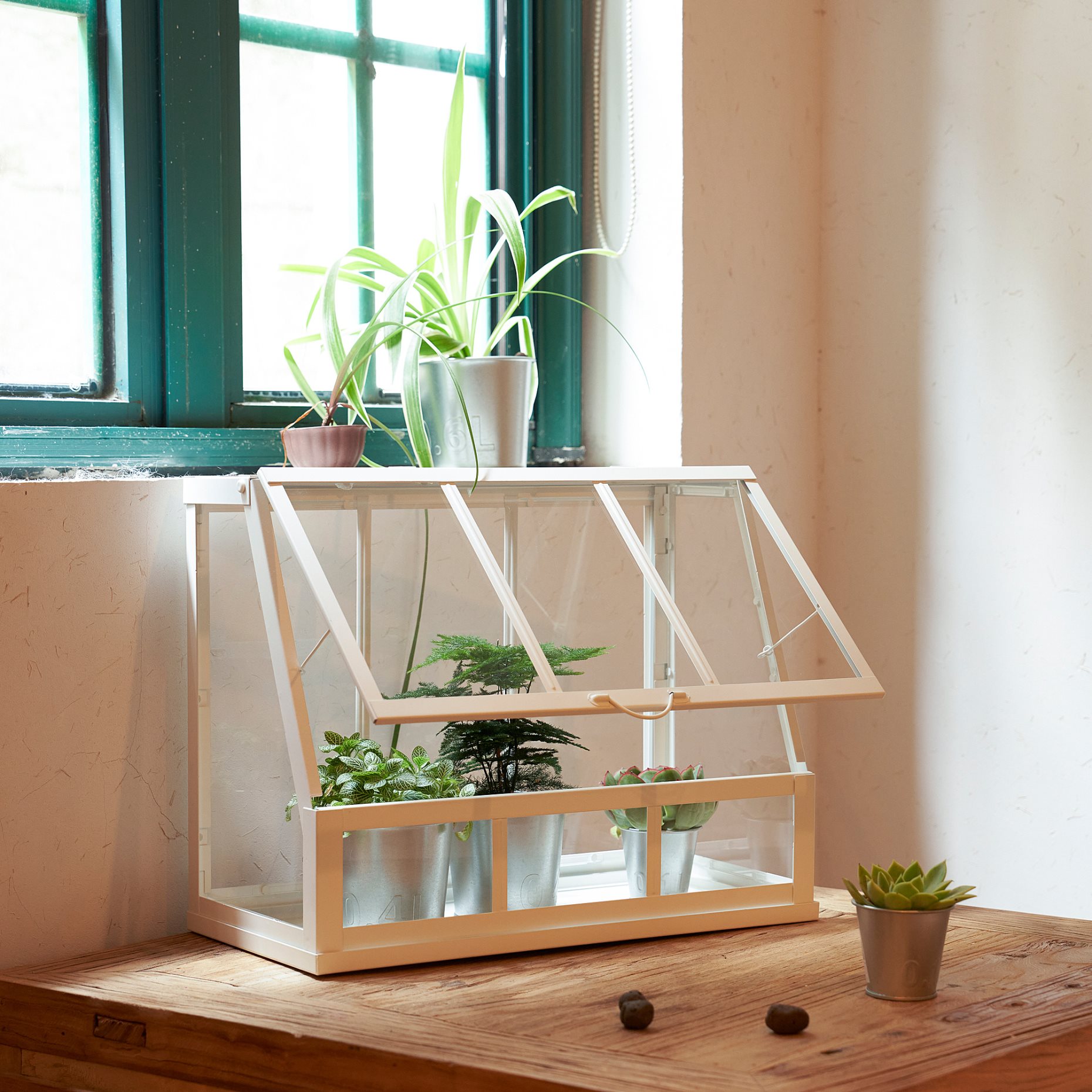 ÅKERBÄR, greenhouse/in/outdoor, 45 cm, 305.371.70