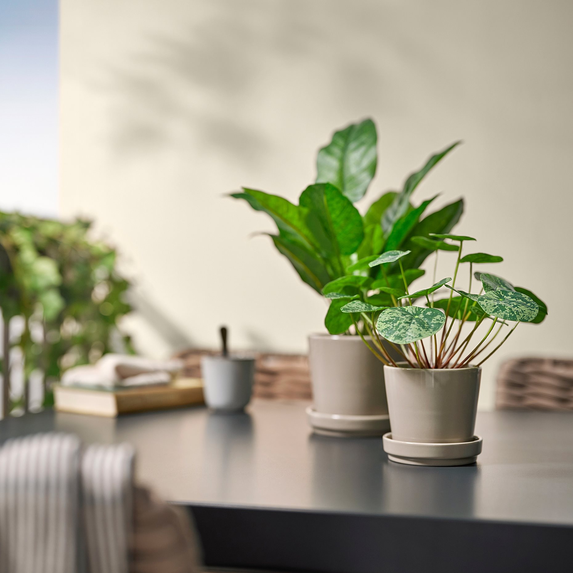 FEJKA, artificial potted plant in/outdoor Pilea, 9 cm, 306.008.59