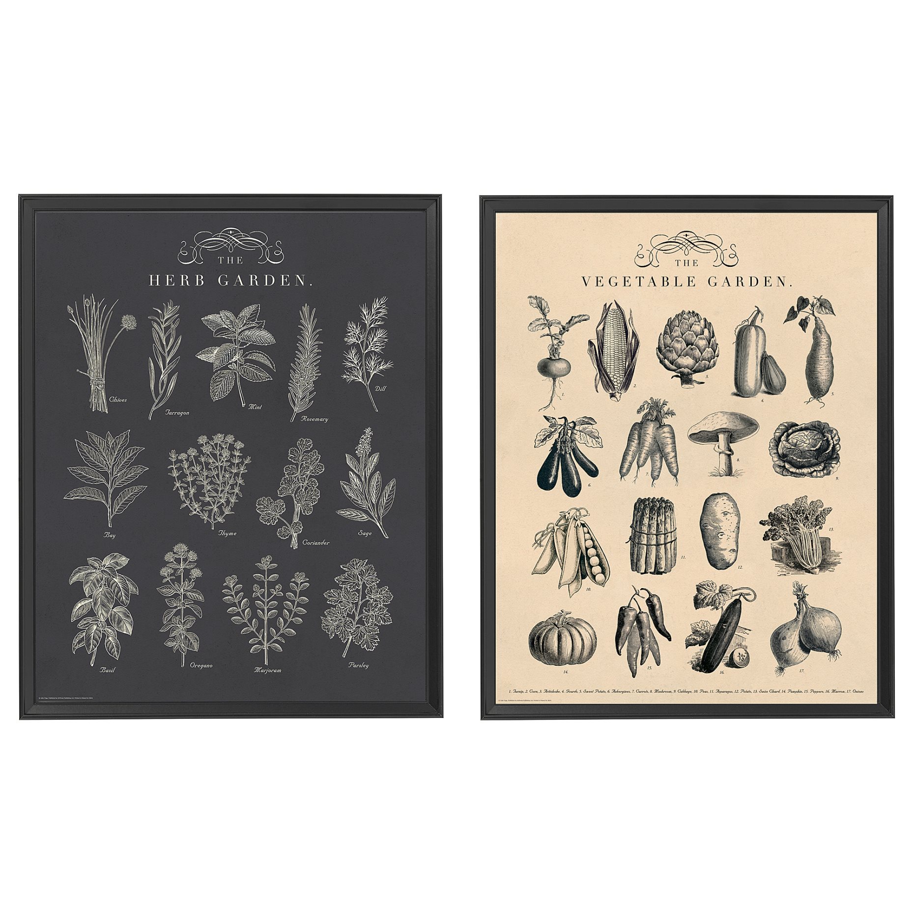 KNOPPÄNG, frame with poster 2 pack, garden, 404.657.71